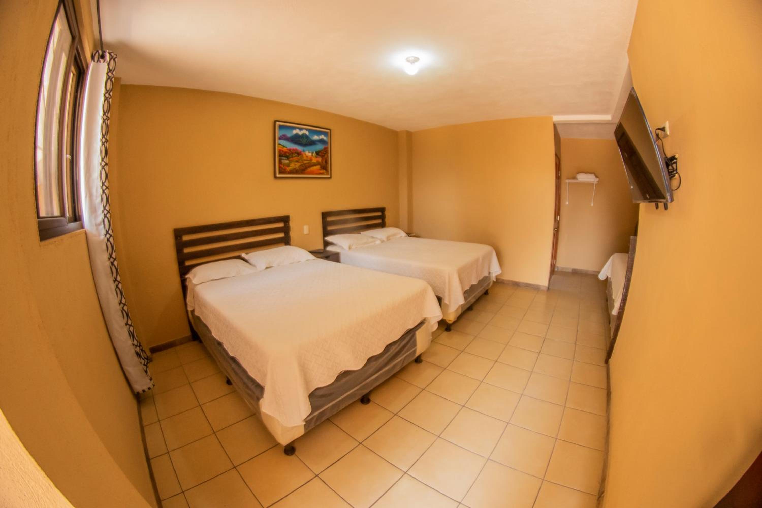 Twin Room photo 2