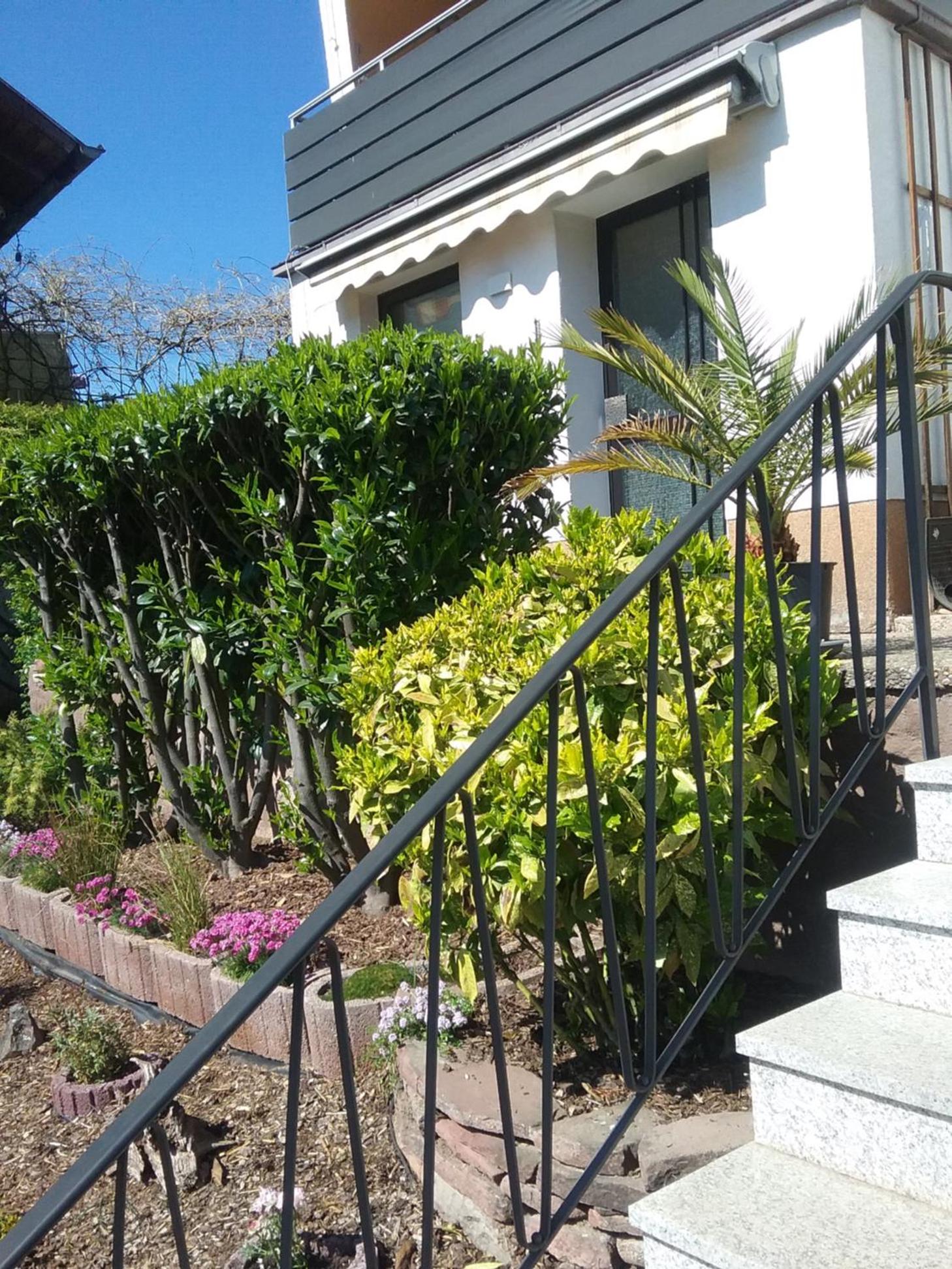 Apartment with Terrace photo 2