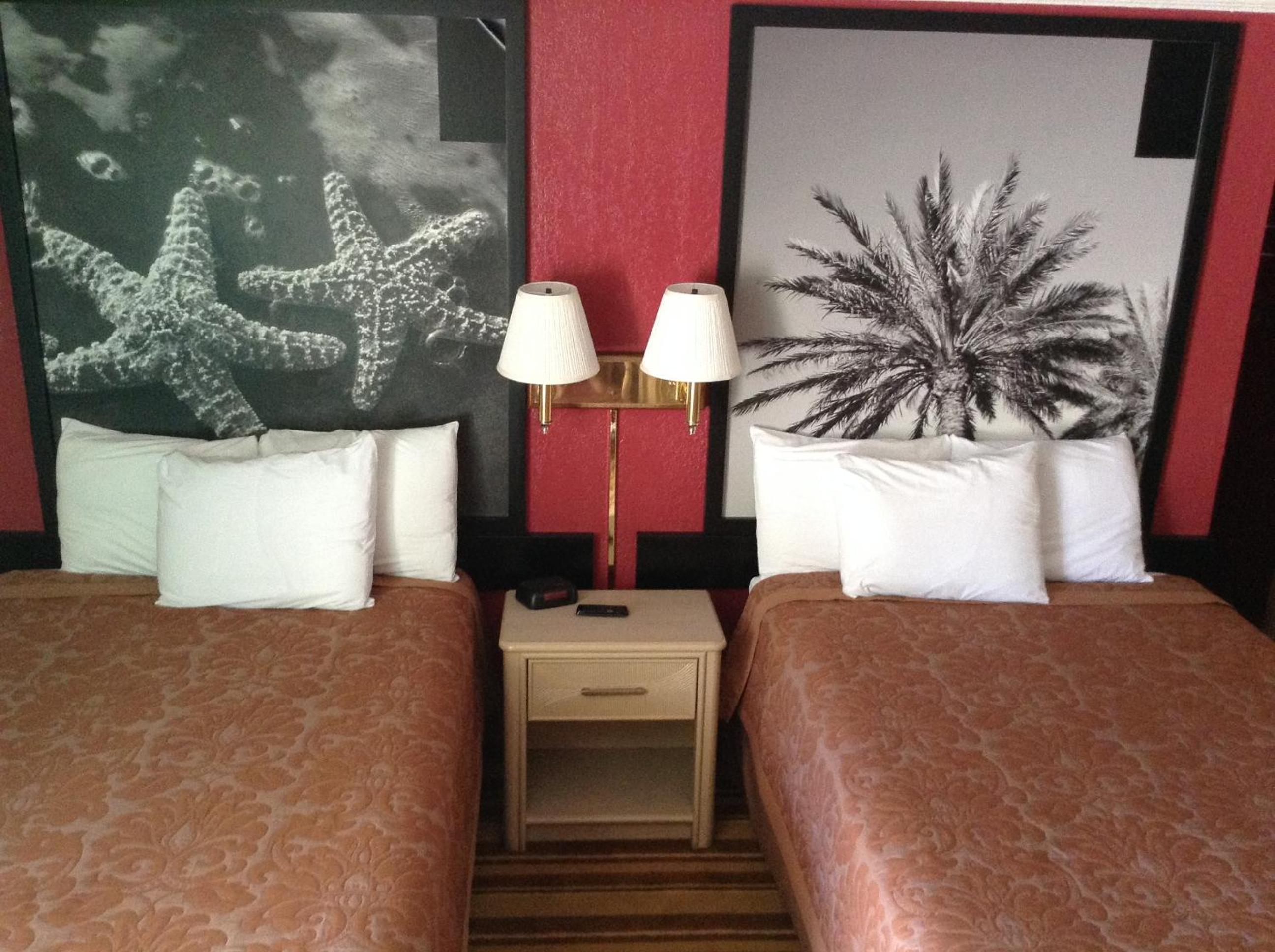 Family Room - Photo 1