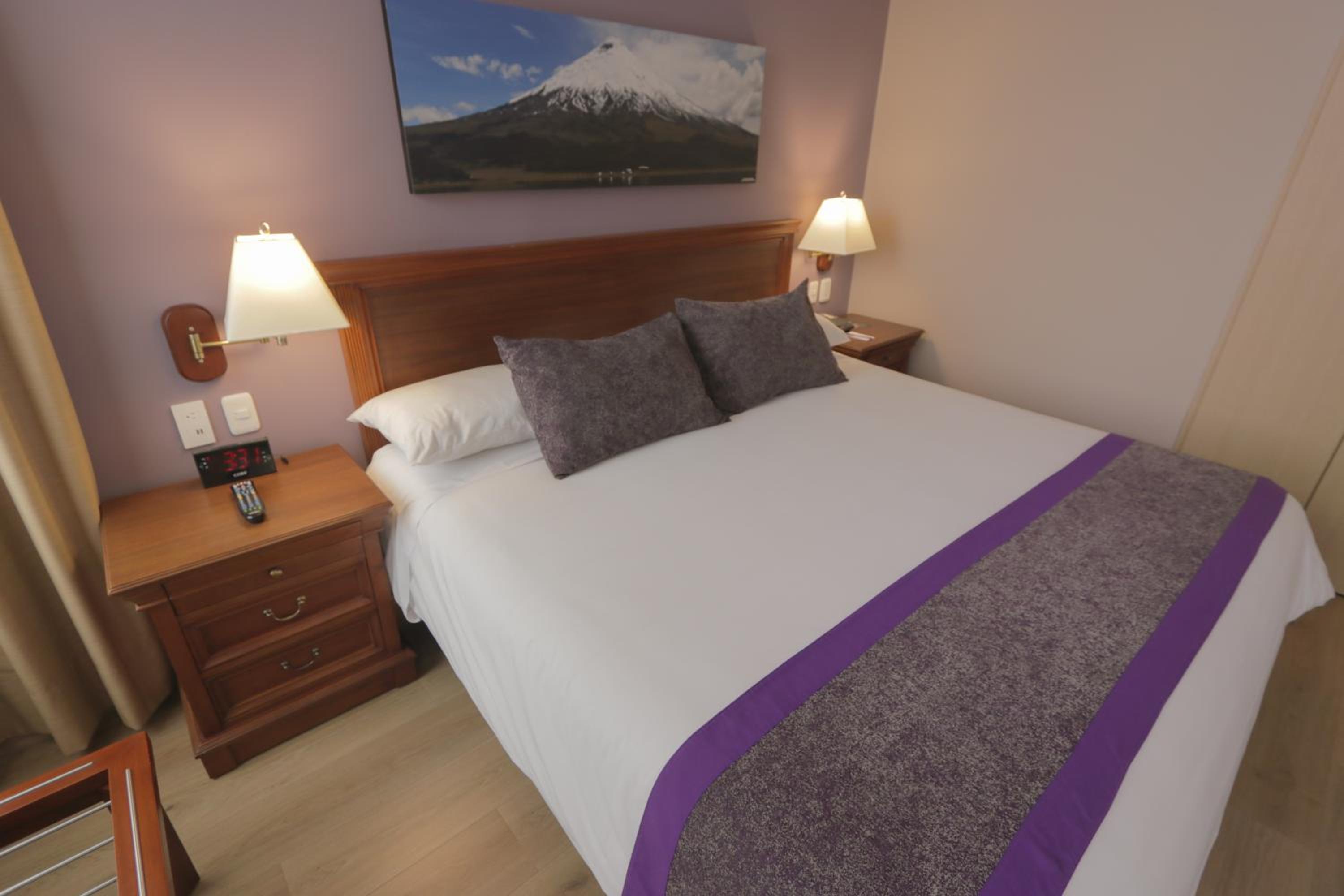 Superior King Room with One King Bed - Photo 30