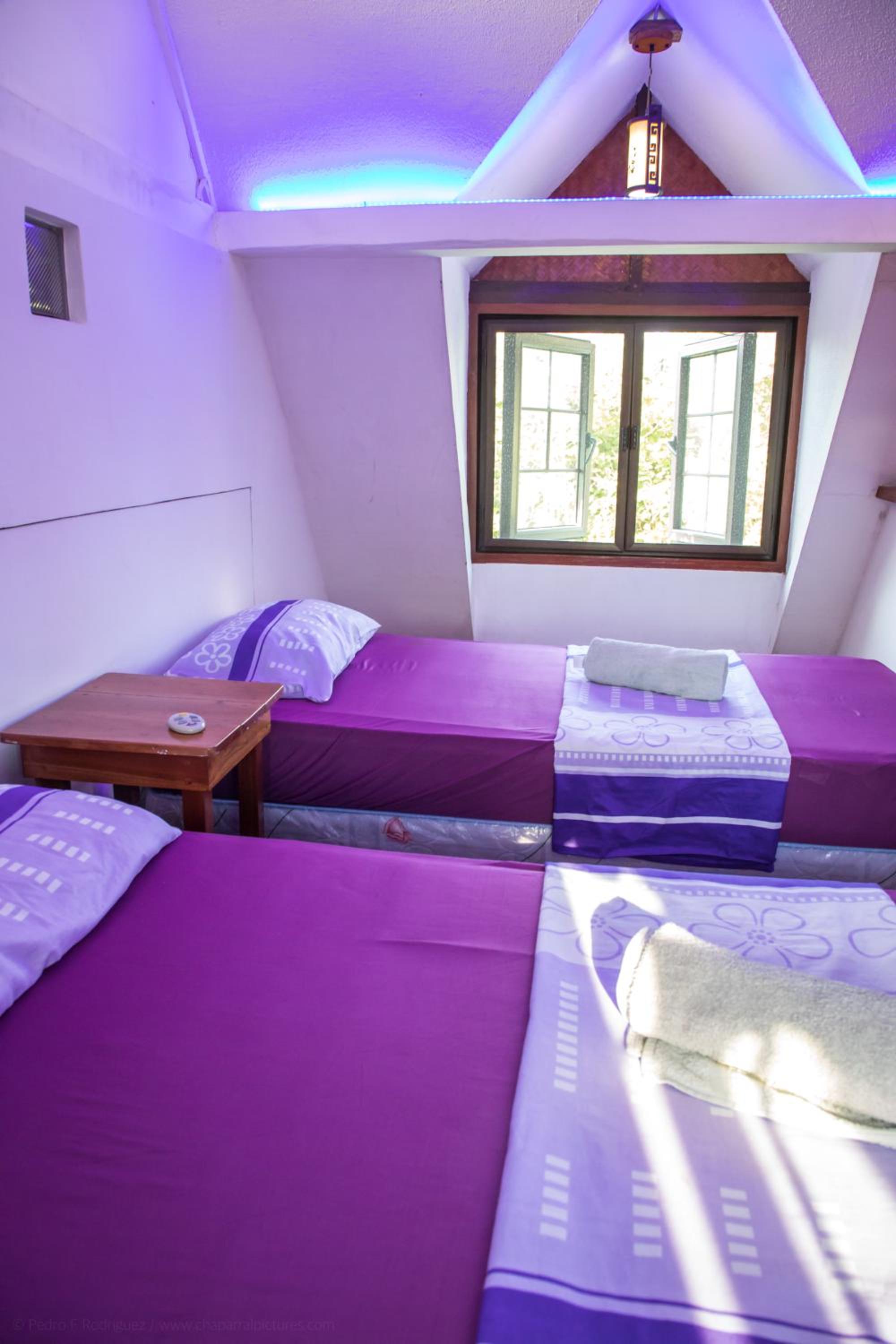 Comfort Quadruple Room - Photo 16