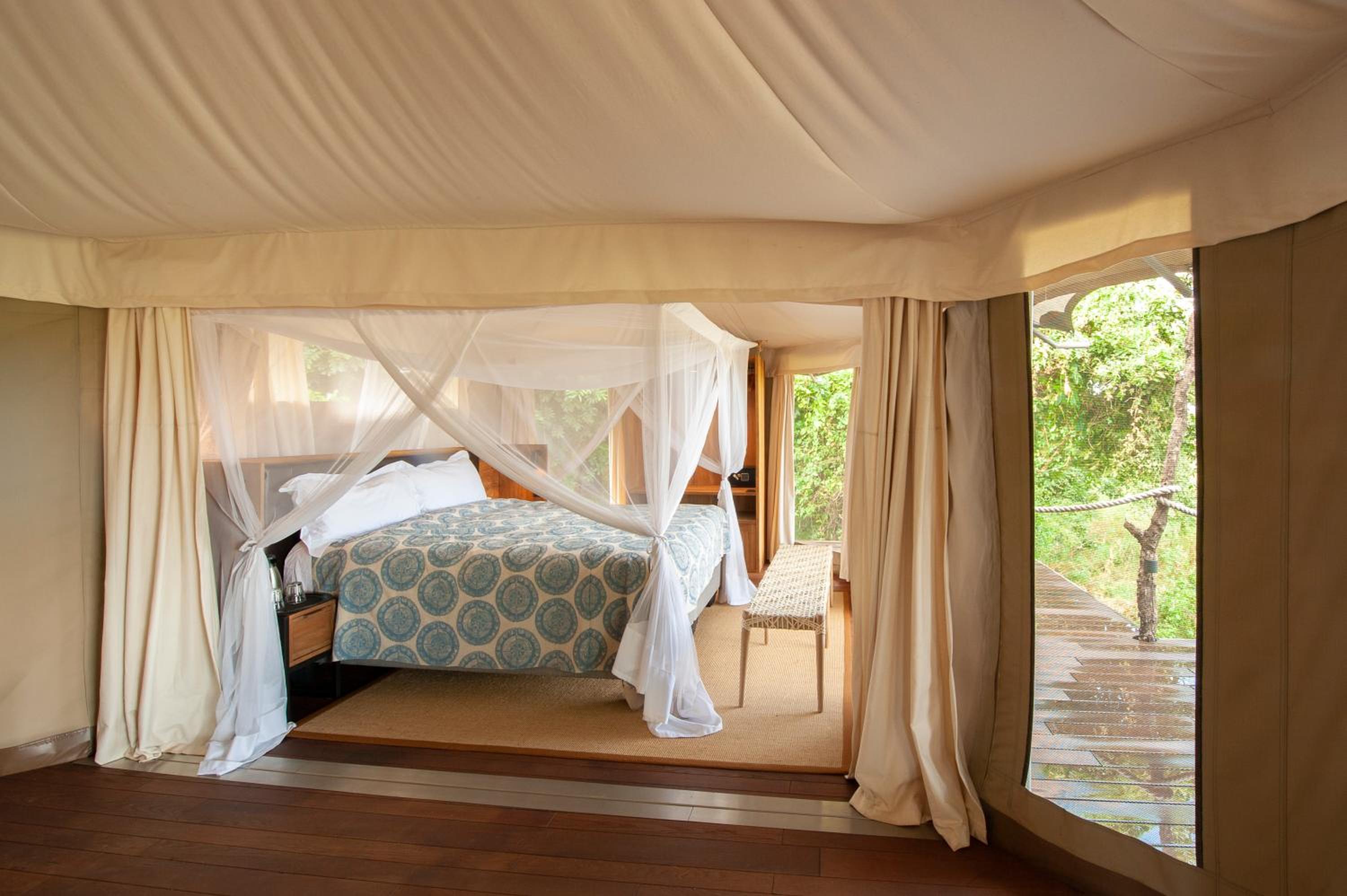 Family Suite photo 1