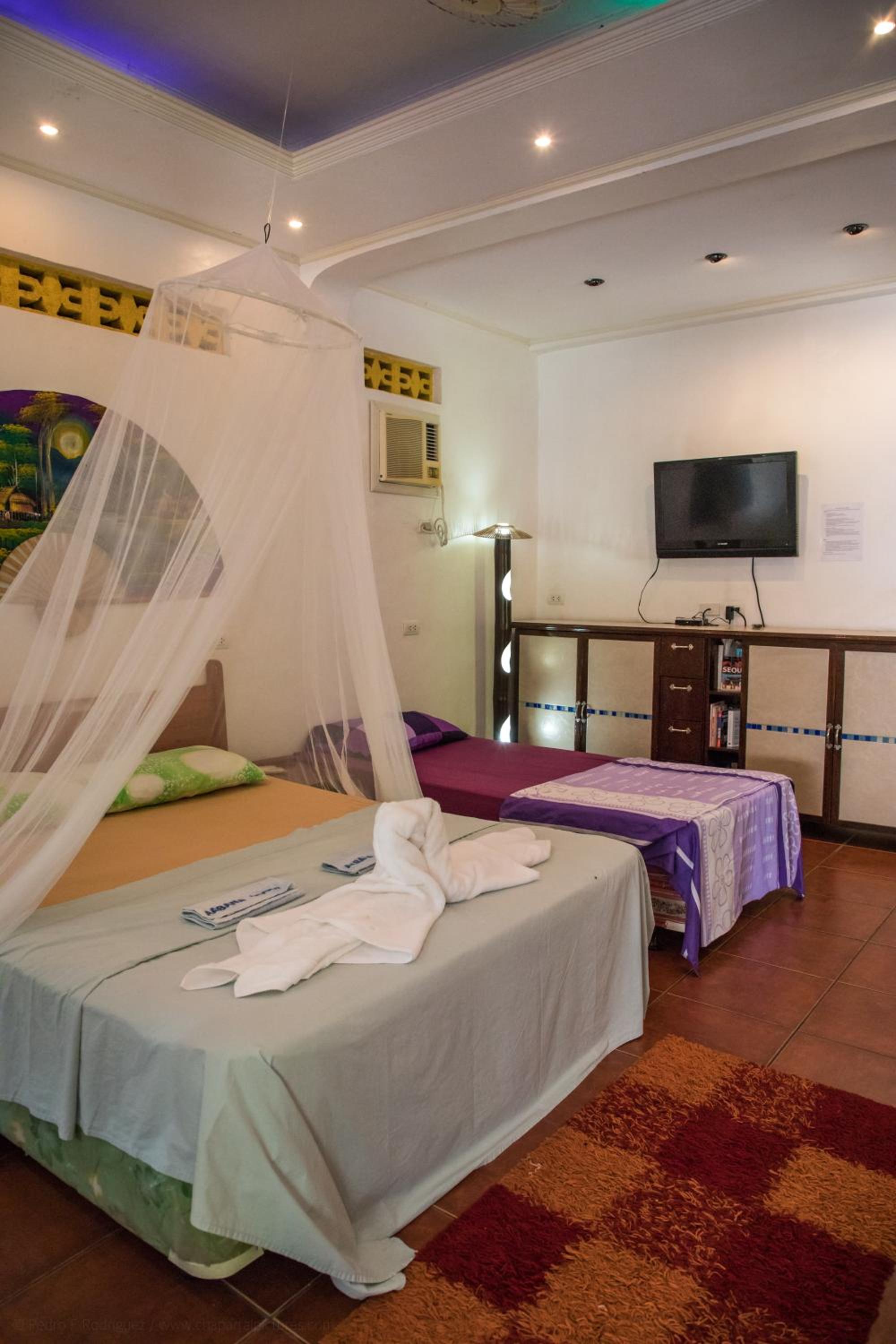 Comfort Triple Room - Photo 1