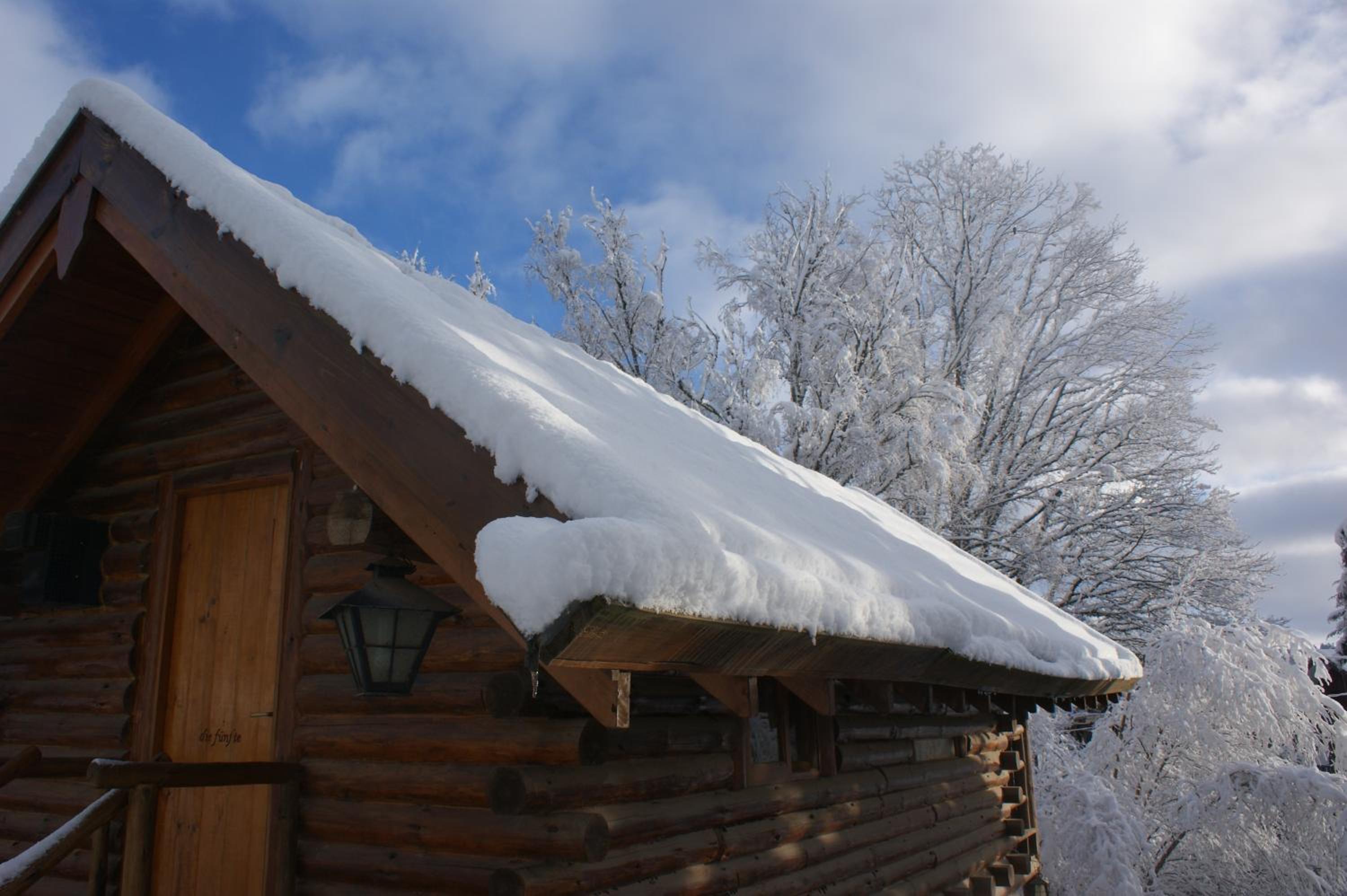 Bungalow (2 Adults) photo 2