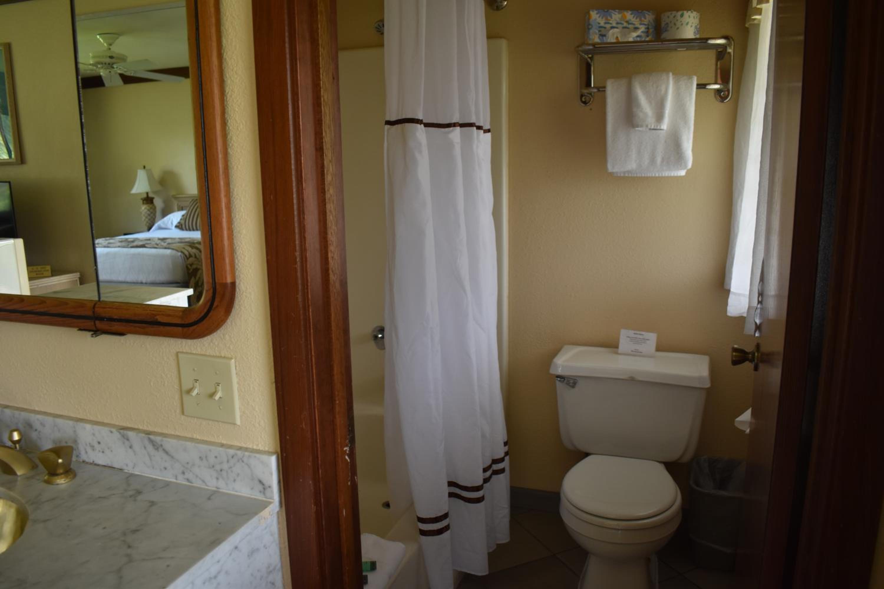 Large Queen Room photo 2