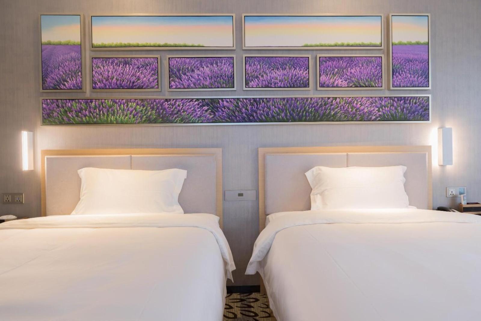 Deluxe Twin Bed Room photo 1