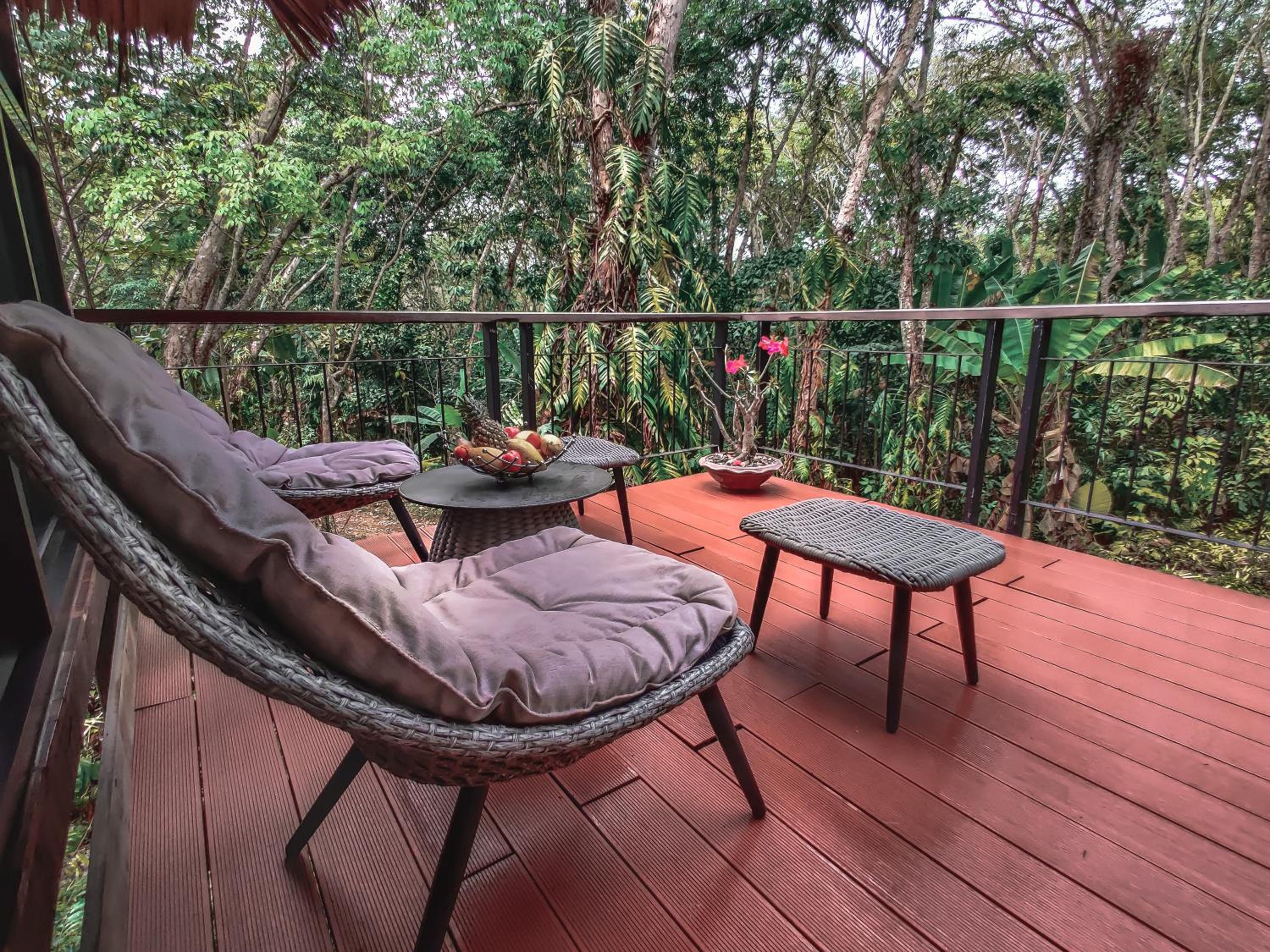 Family Room with Balcony - Photo 6
