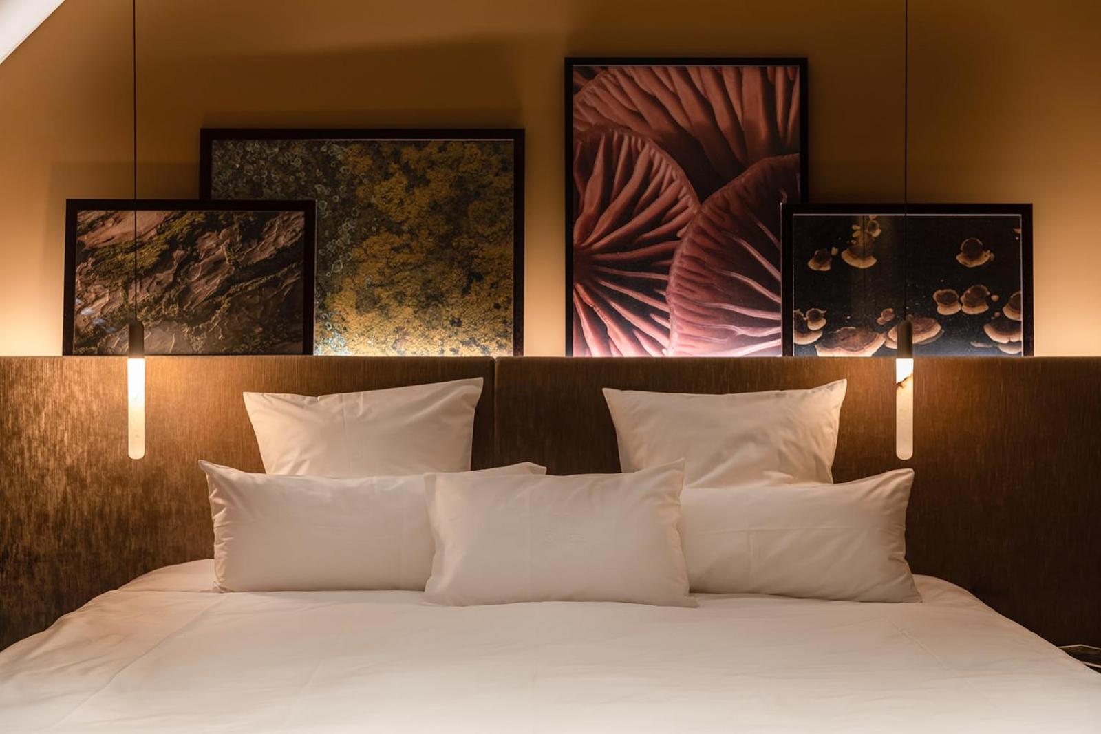 Junior Suite - Photo 6