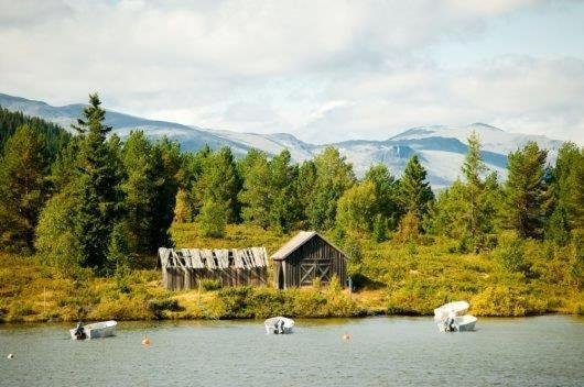 Holiday Home photo 3