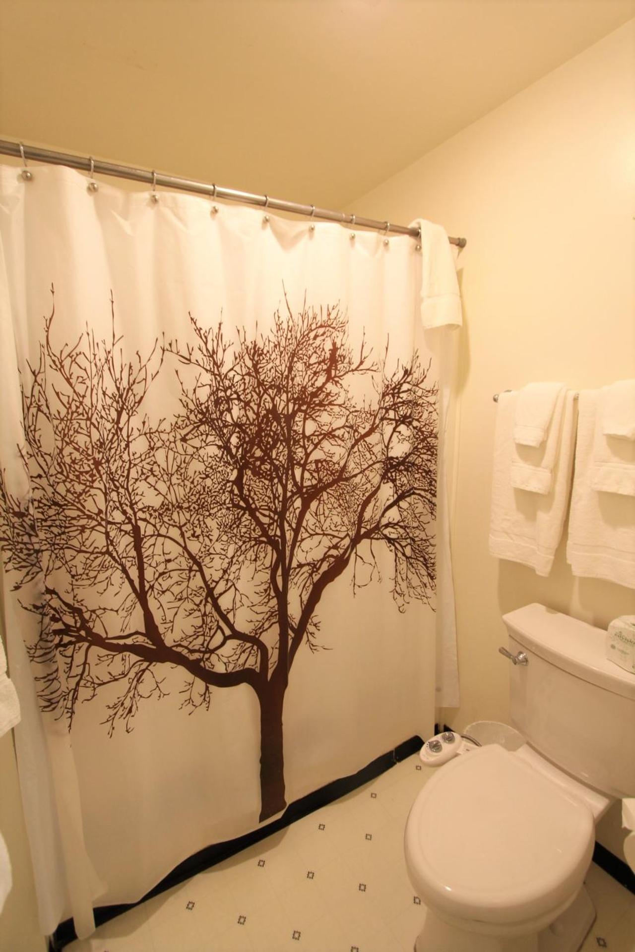Suite with 1 King Bed and 1 Queen Sofa Bed, Room 10 (No Pets)) photo 3