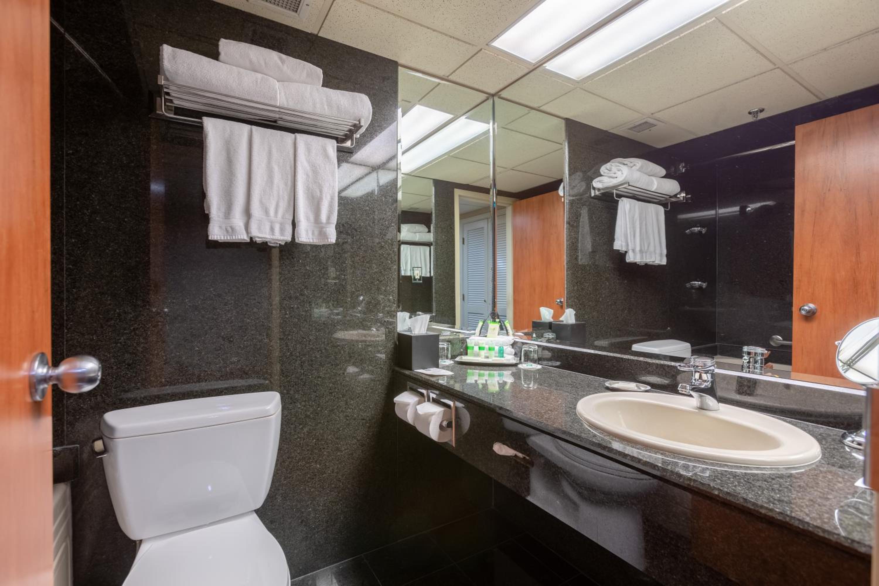 Executive King Suite - Photo 5