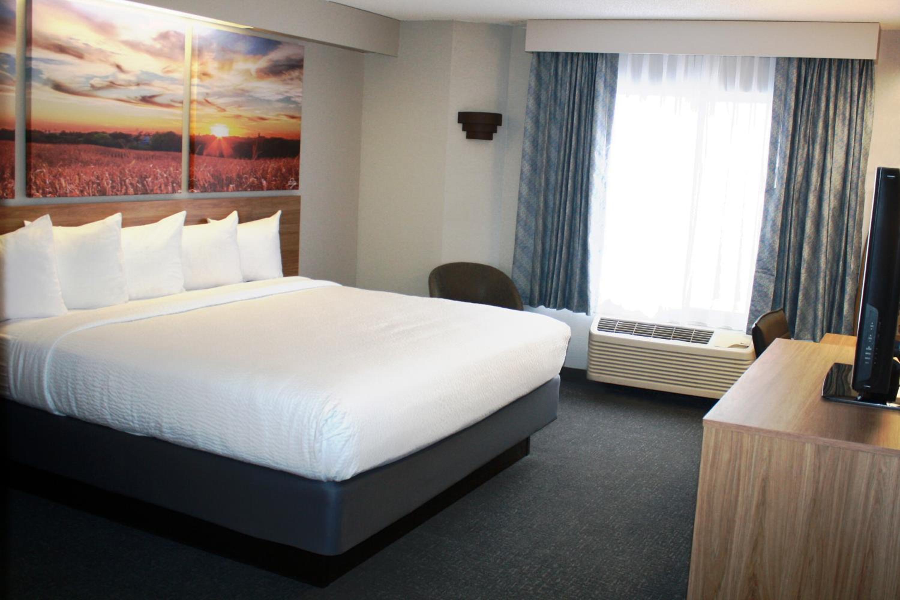 Standard King Room - Non-Smoking  - Photo 2