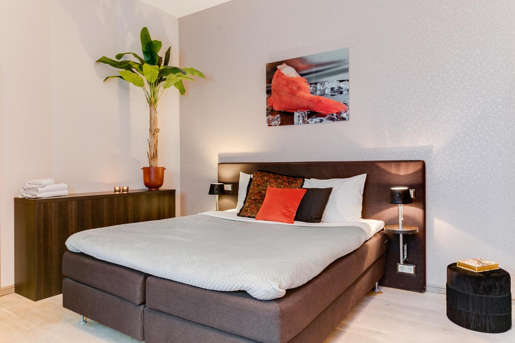 Deluxe Suite Roodbaars photo 2