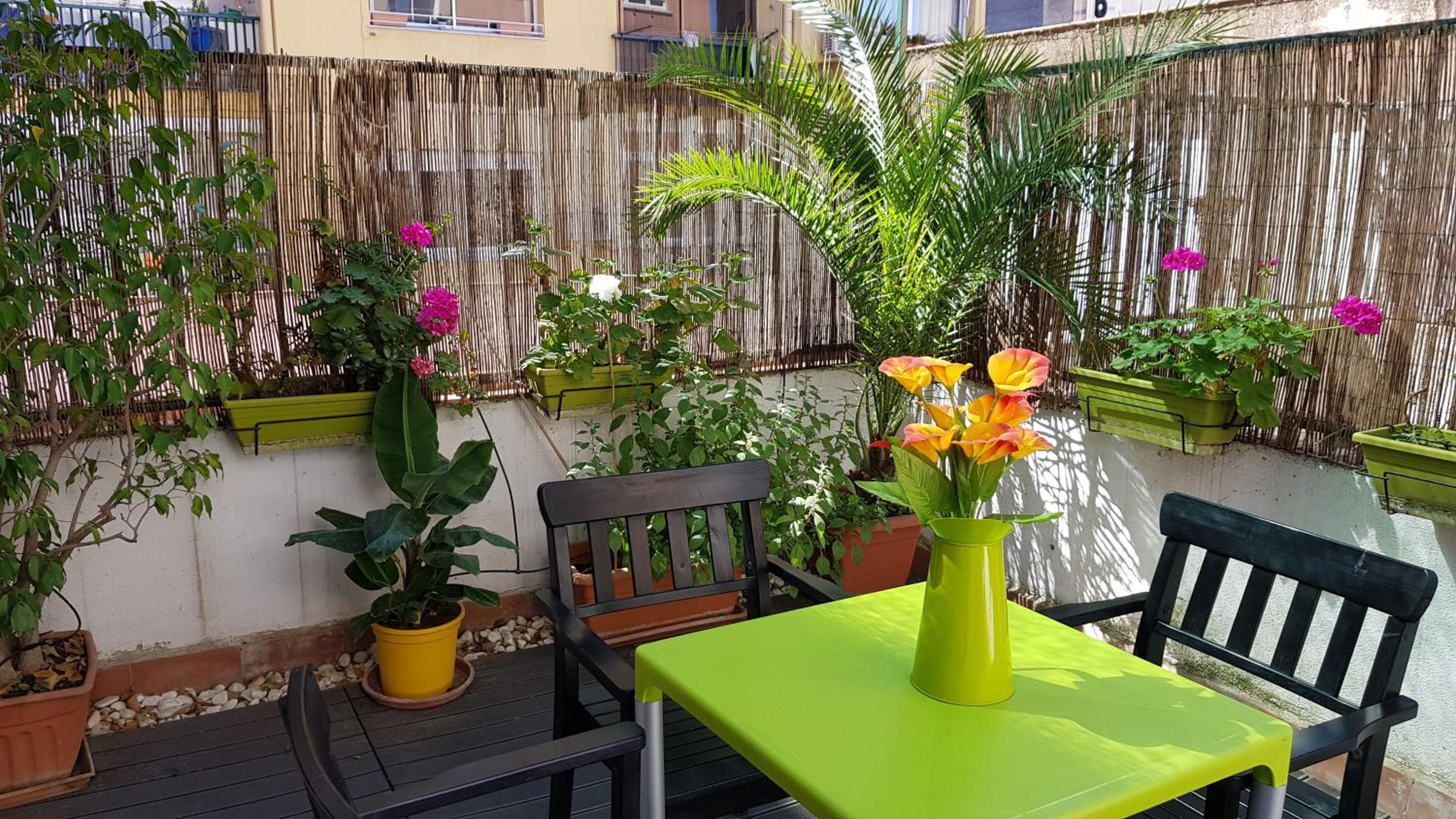 Studio Apartment with Terrace photo 2