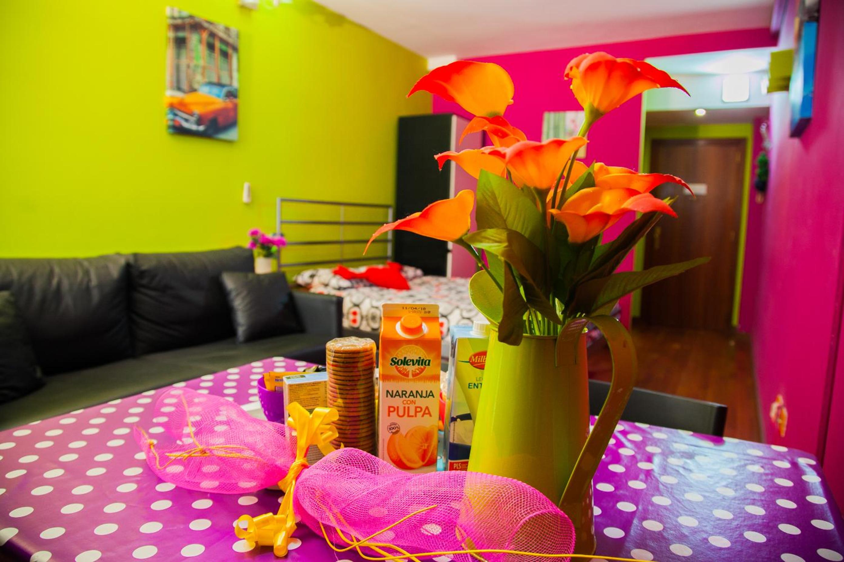 Studio Apartment with Terrace photo 3