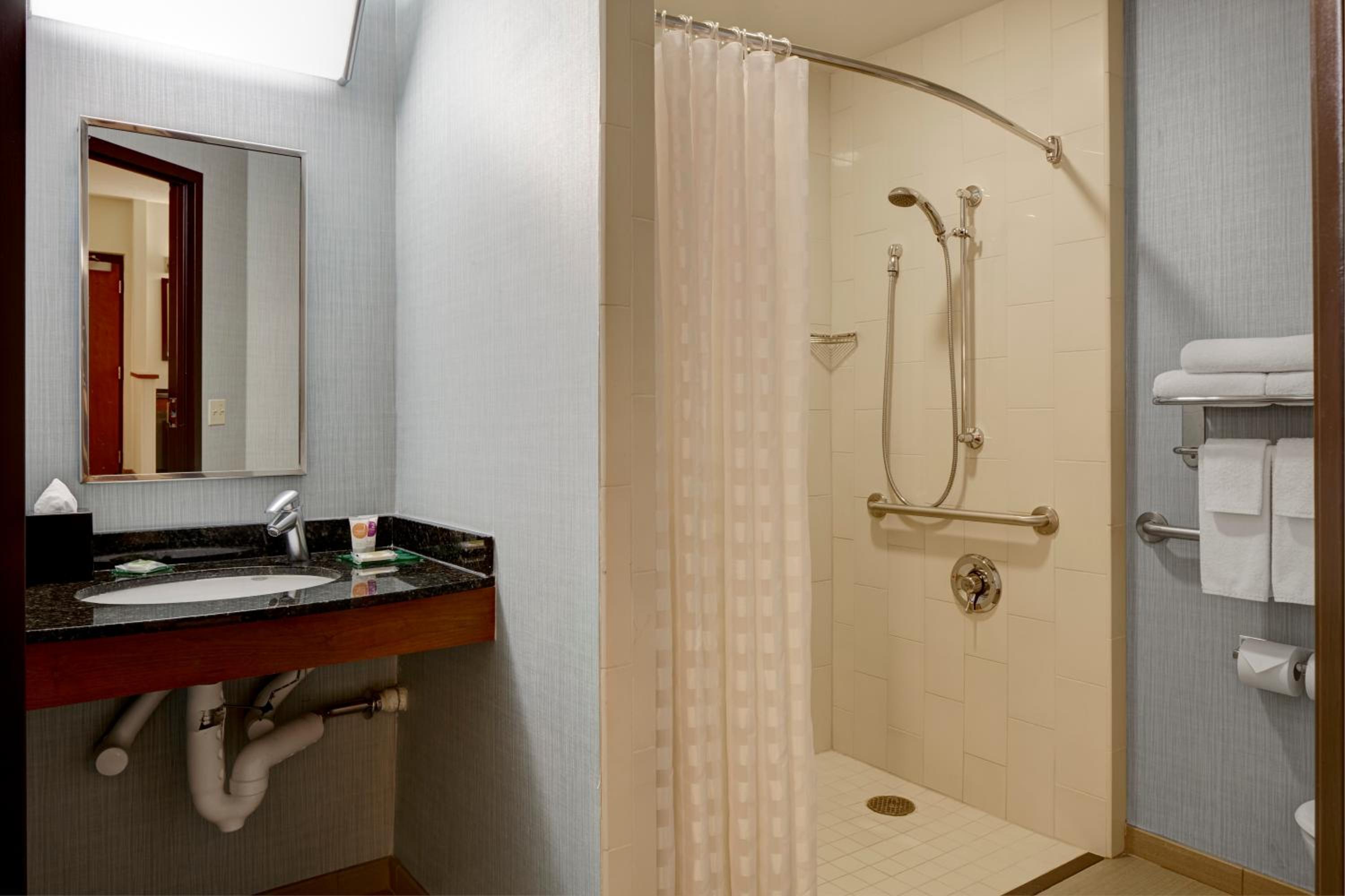 King Room with Sofa Bed and Roll-In Shower - Disability Access - Photo 7
