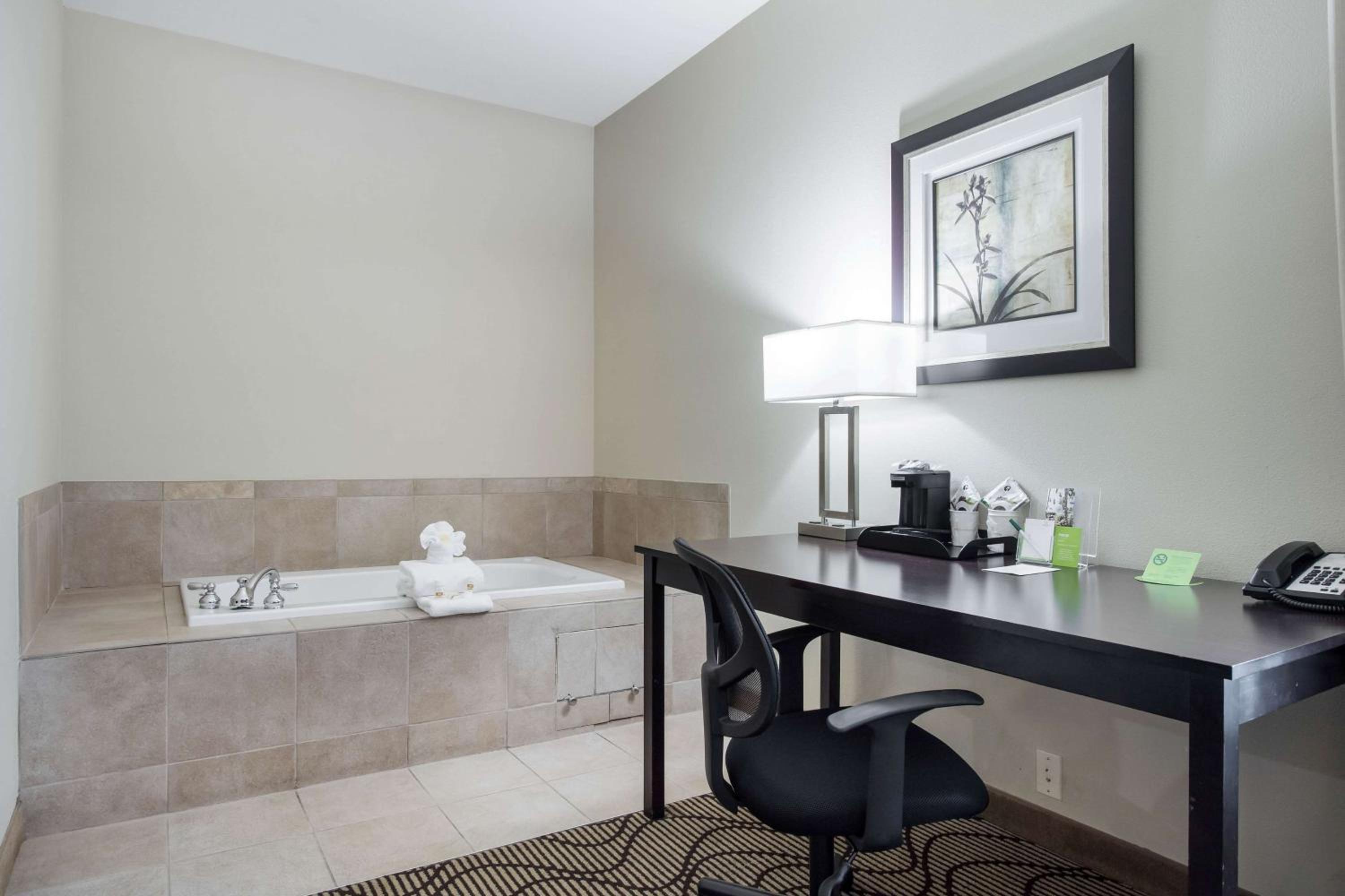 Deluxe King Suite - Non-Smoking - Photo 6