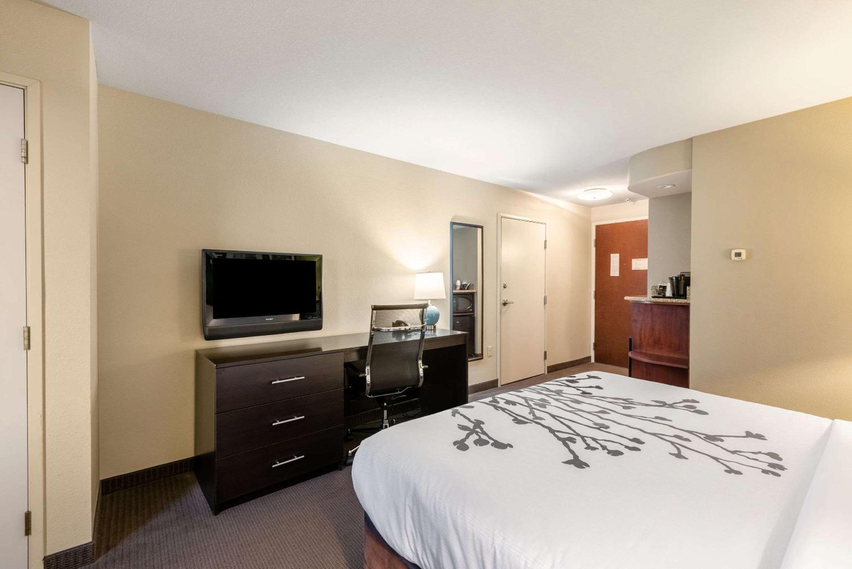 King Room - Non-Smoking - Photo 5