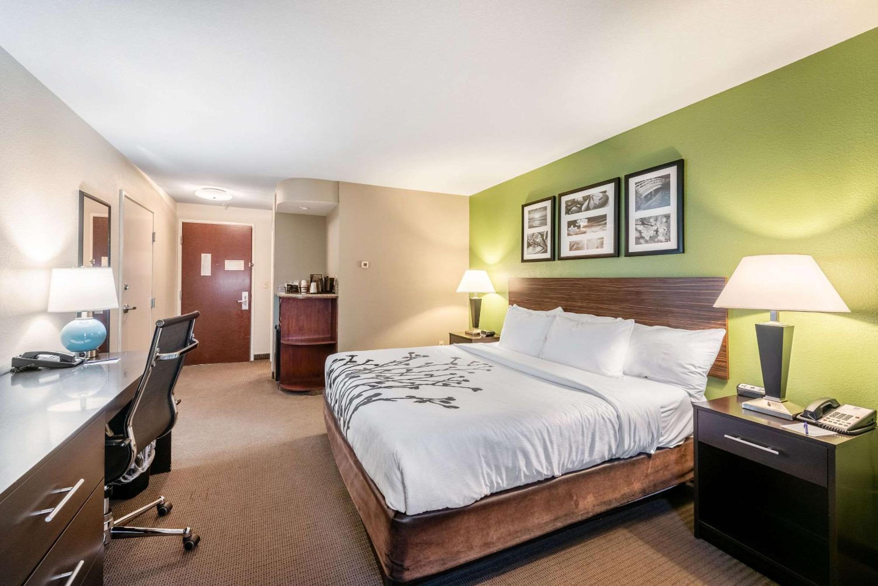 King Room - Non-Smoking - Photo 2