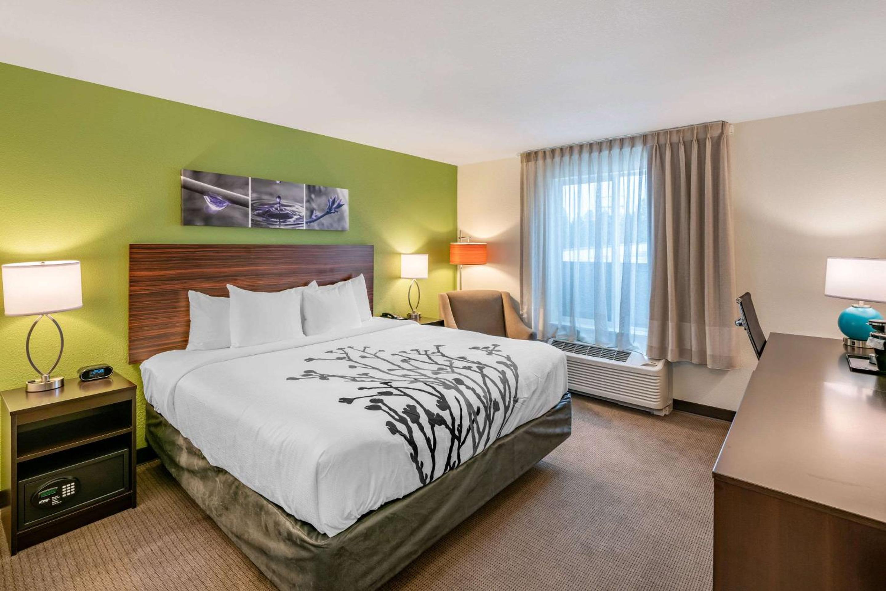 King Room - Non-Smoking - Photo 1