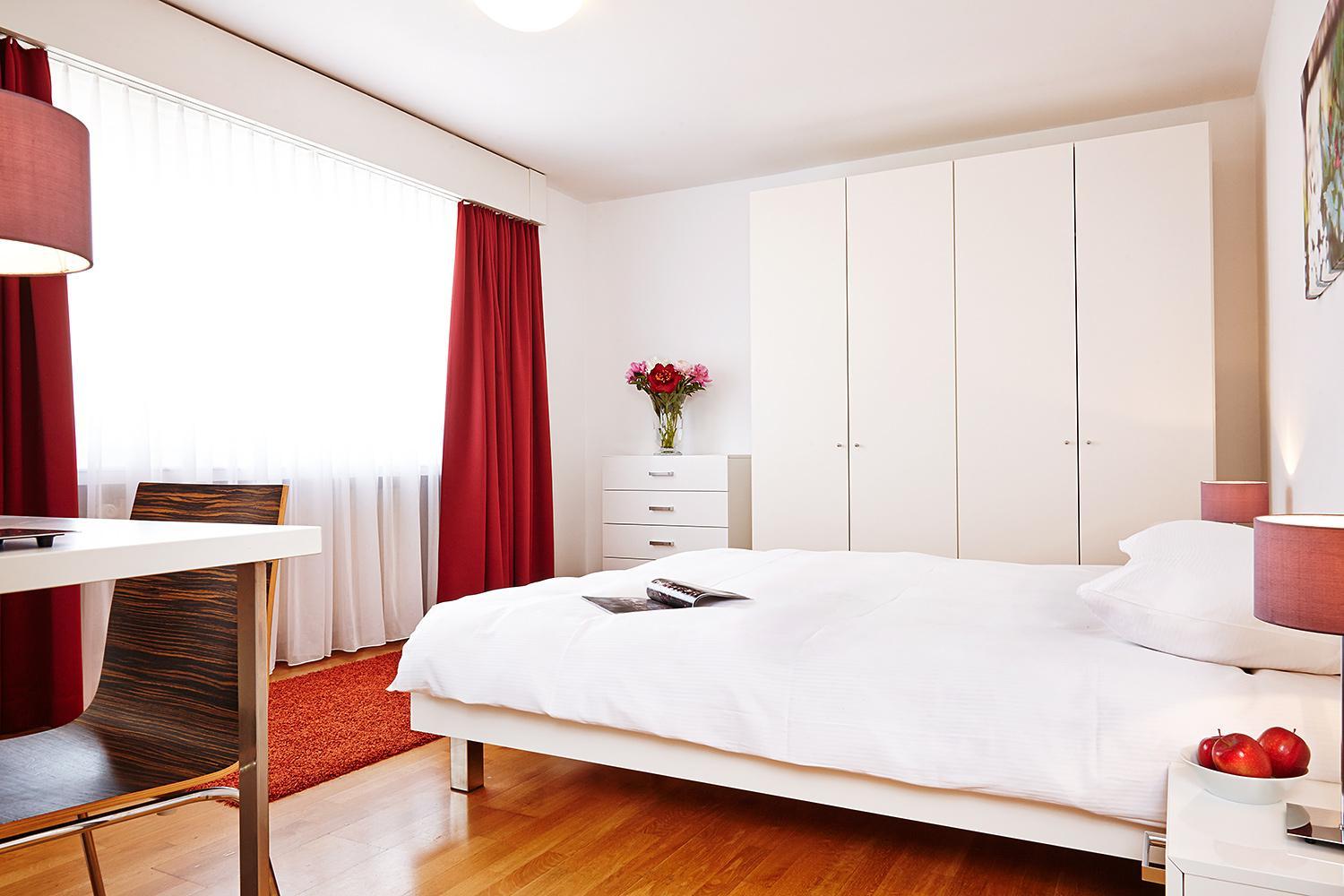 Large One-Bedroom Apartment