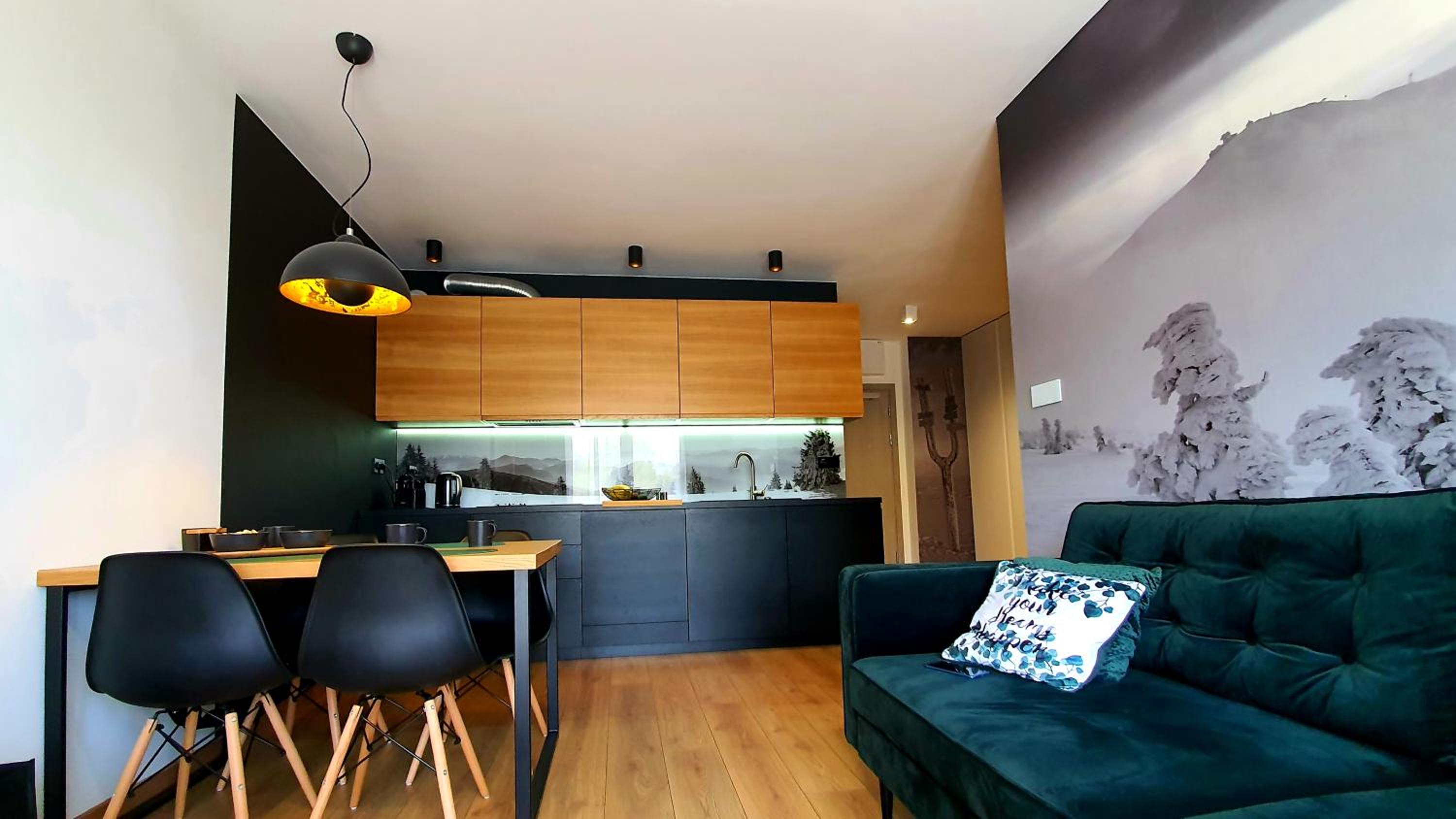Apartment with Mountain View photo 3