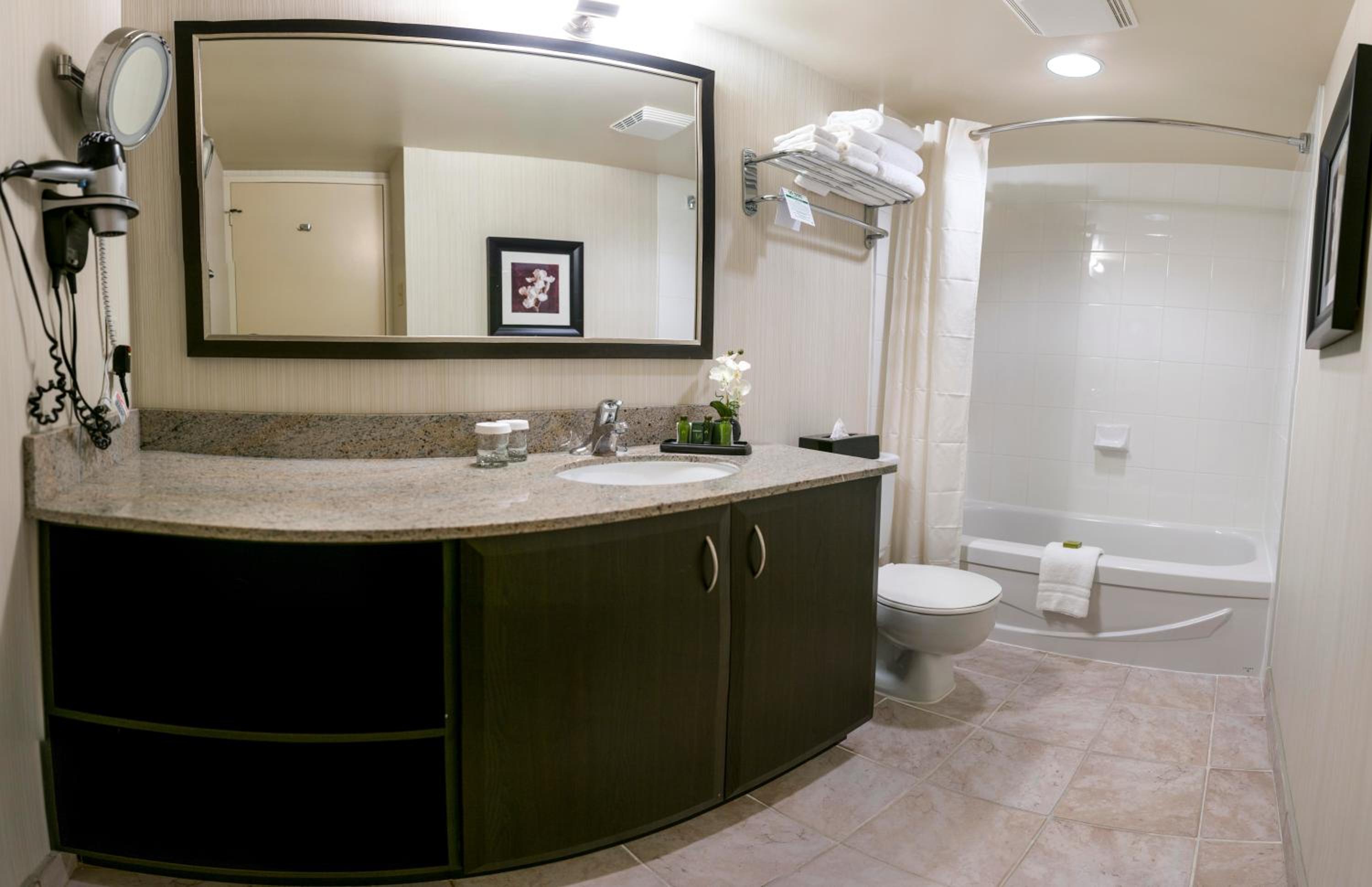 Classic One Bedroom Suite