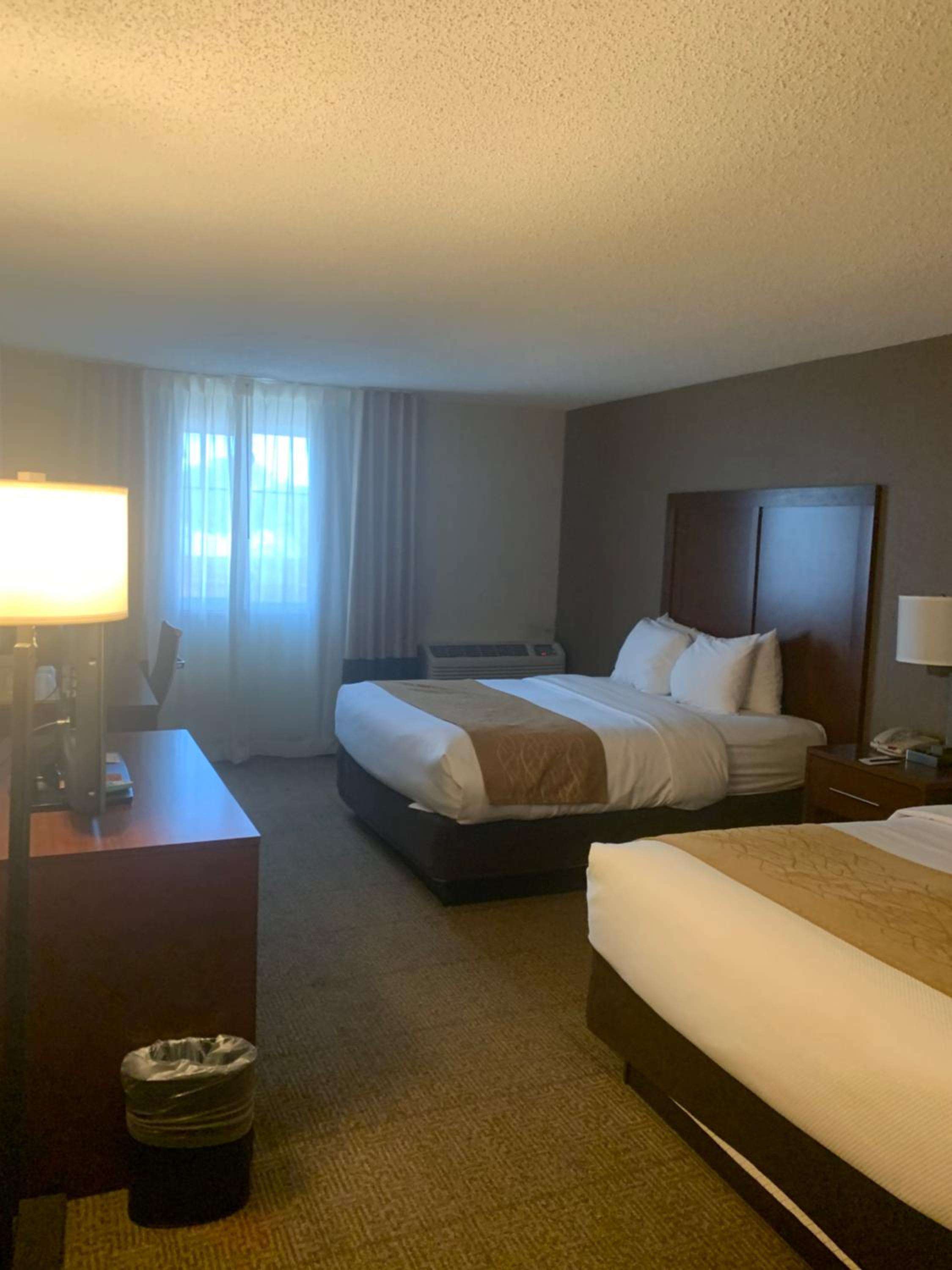 Queen Room with Two Queen Beds - Non-Smoking - Photo 6