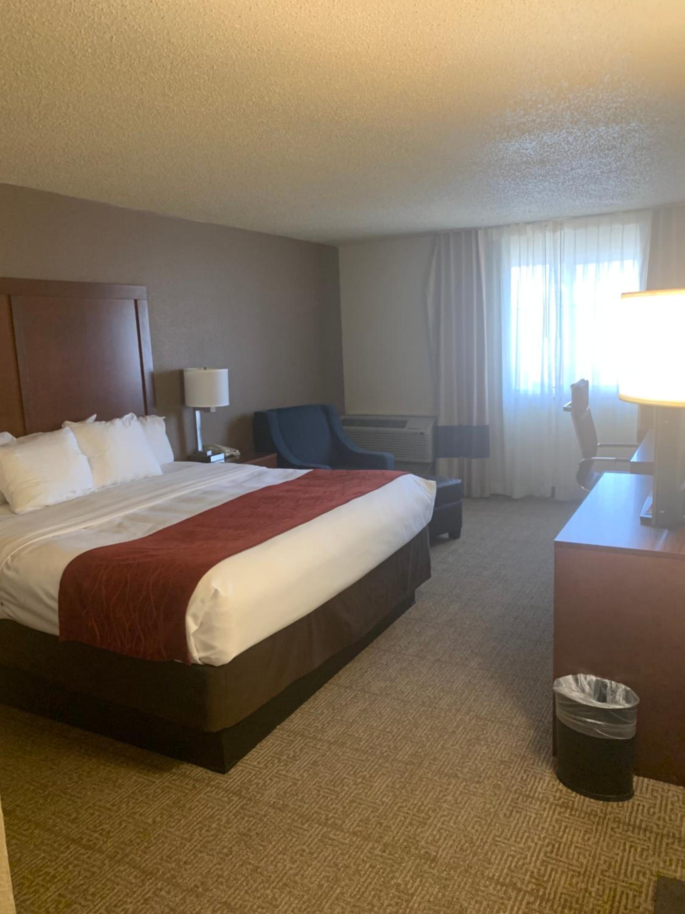 King Room - Non-Smoking - Photo 2