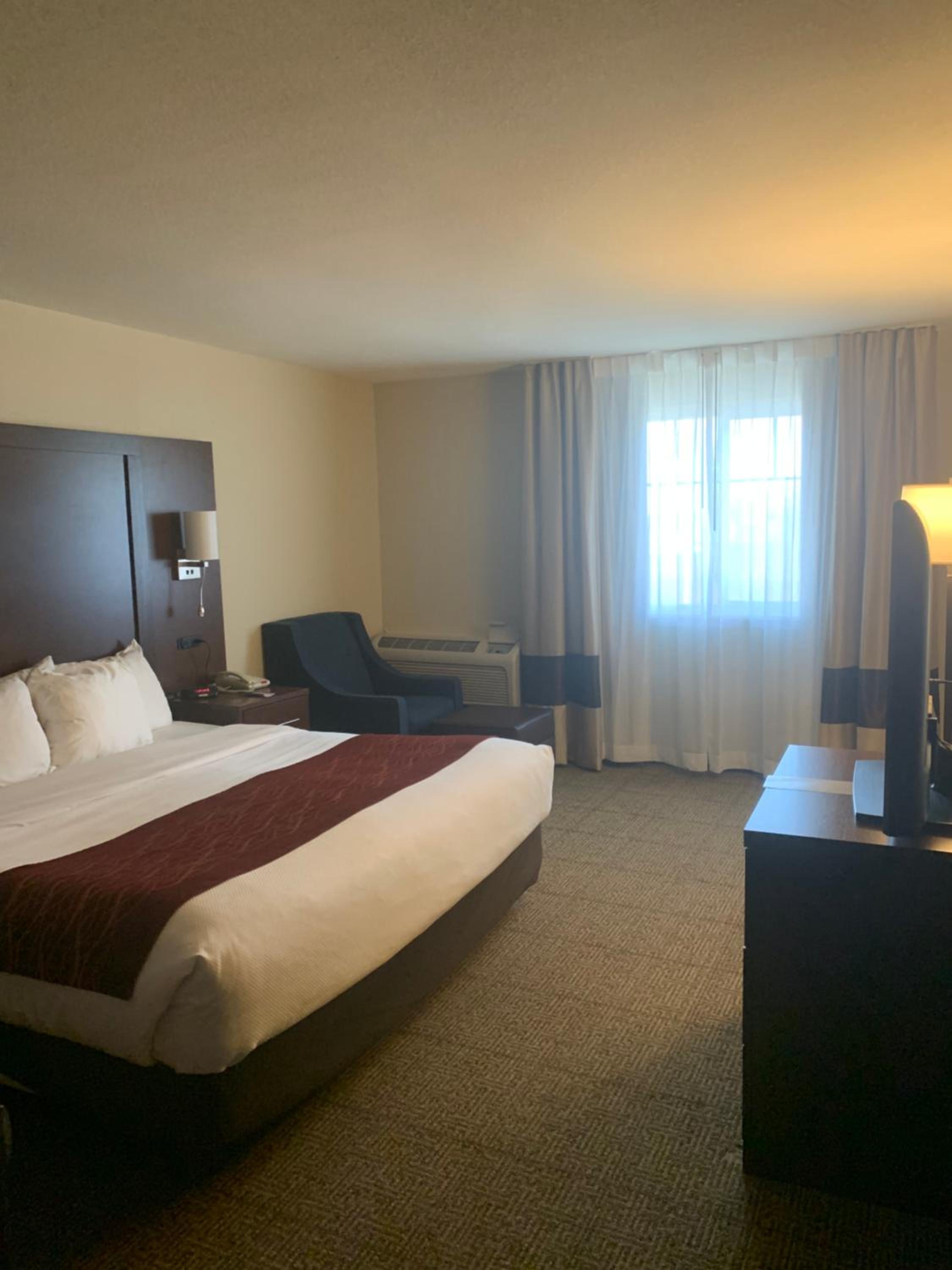 King Room - Non-Smoking - Photo 6