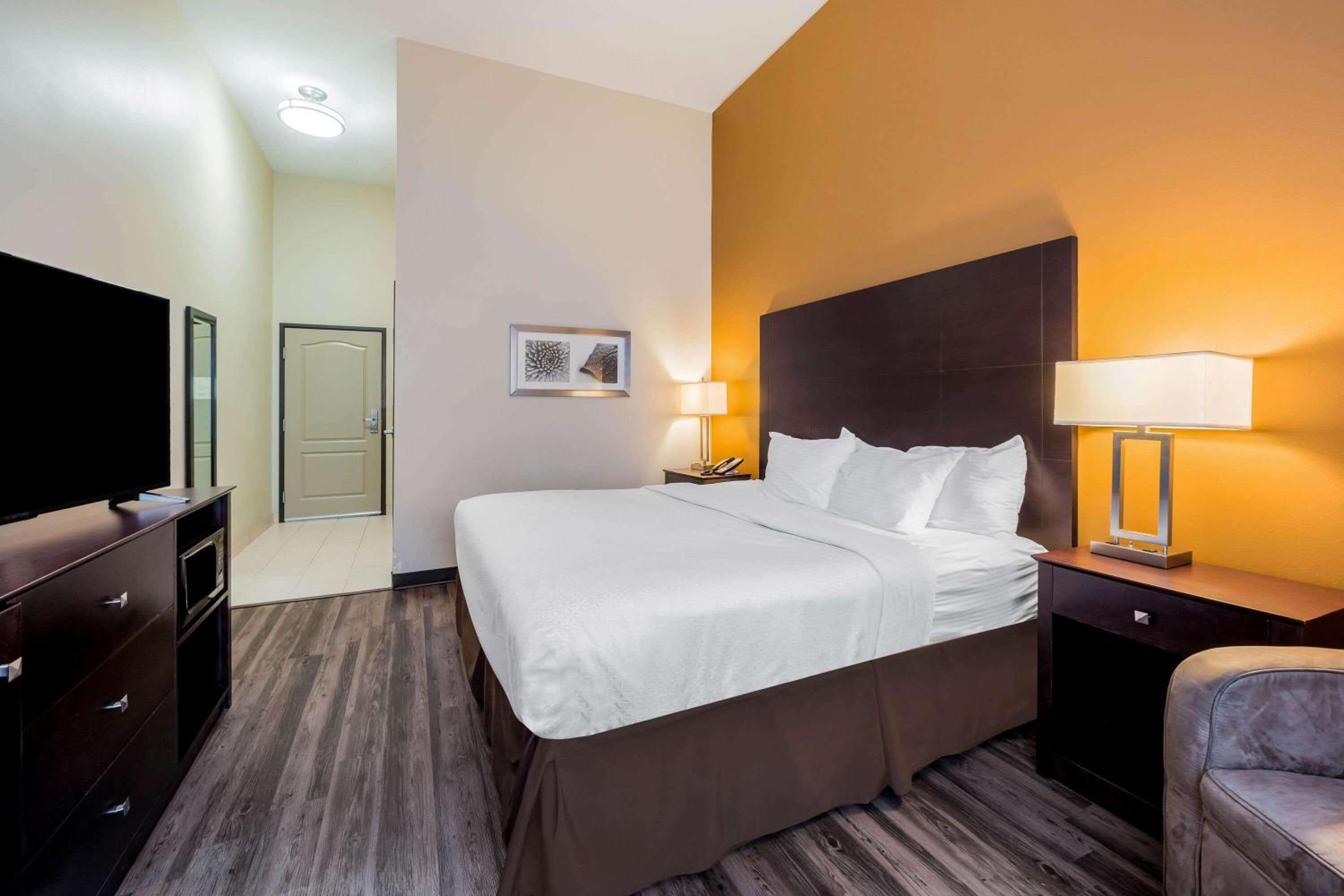 King Room with Roll-In Shower - Mobility Access/Non-Smoking - Photo 2
