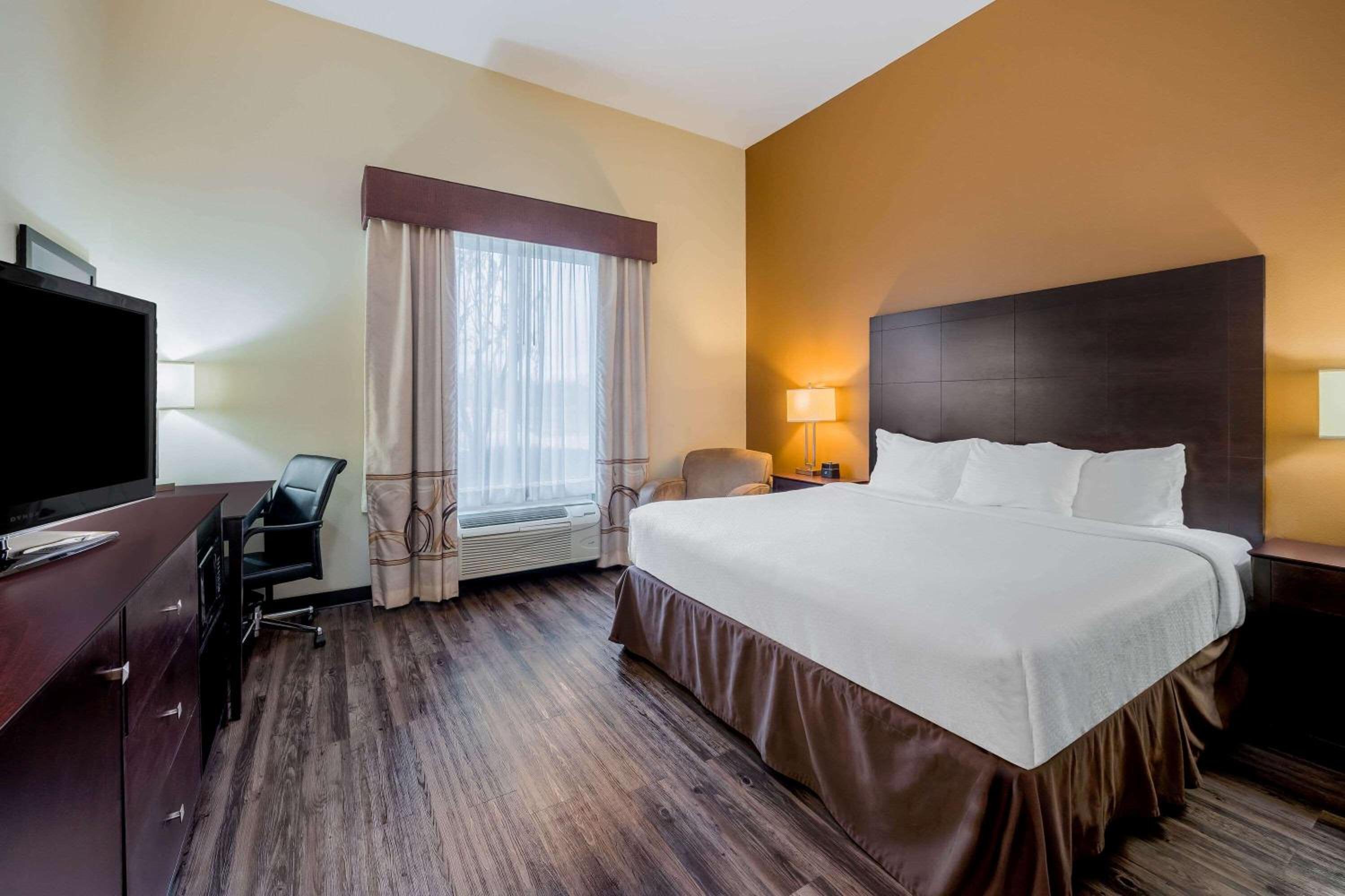 King Room - Photo 1
