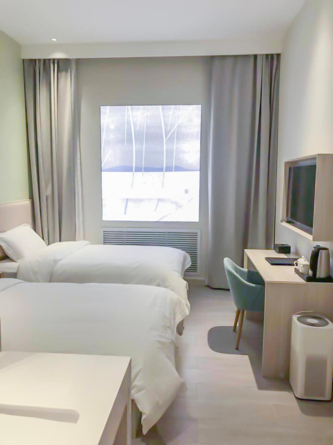 Standard Twin Room without Window