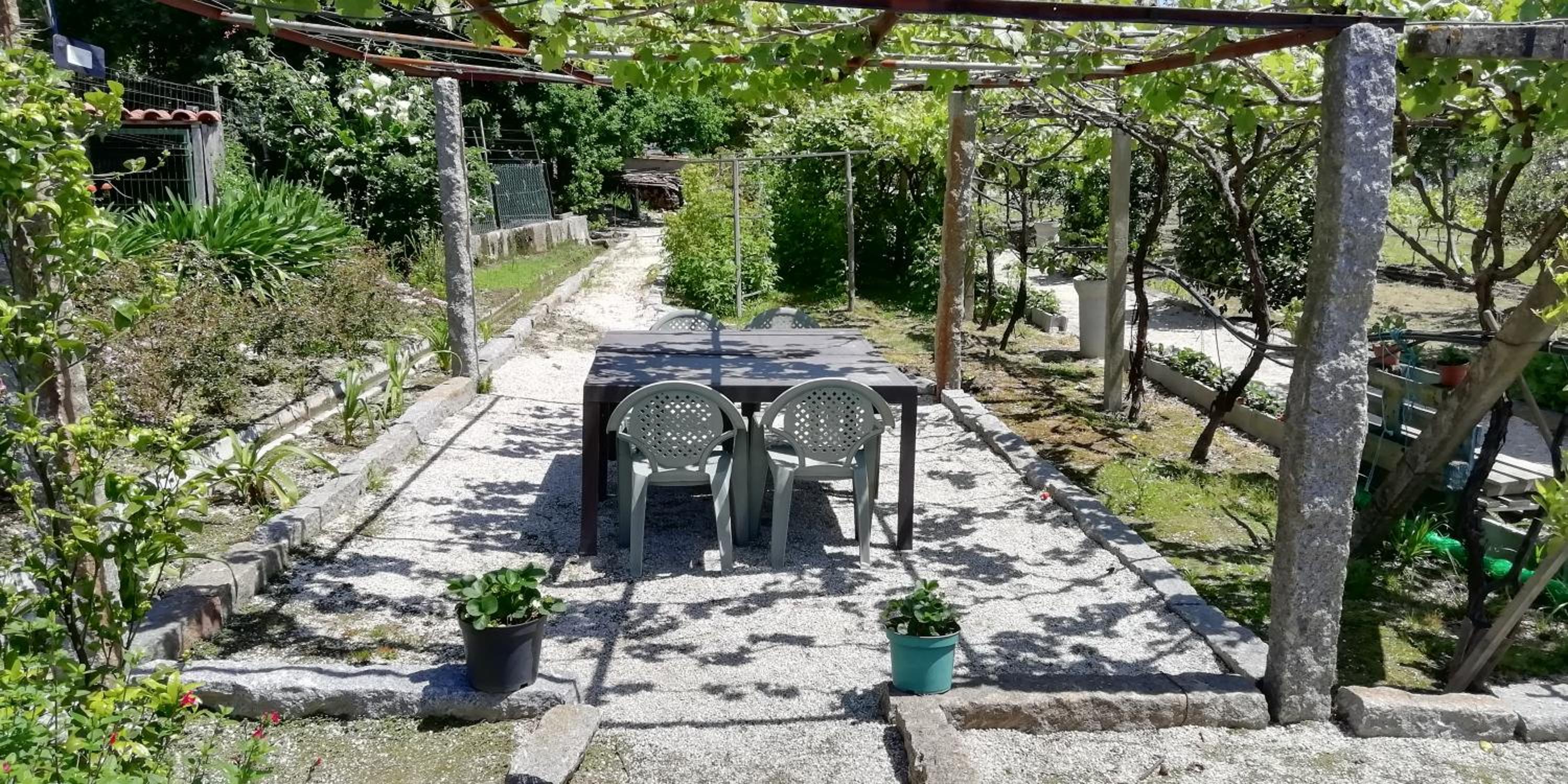 Superior Villa photo 3
