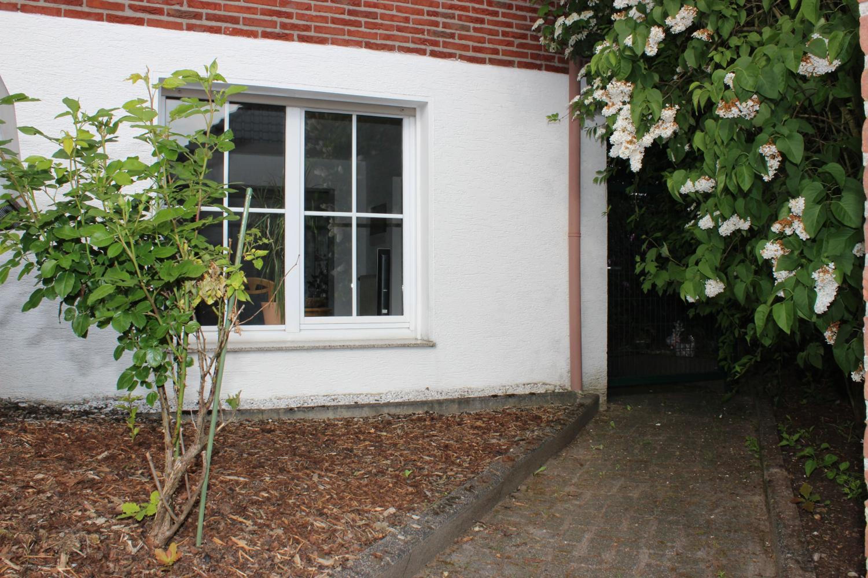 Apartment with Terrace photo 3