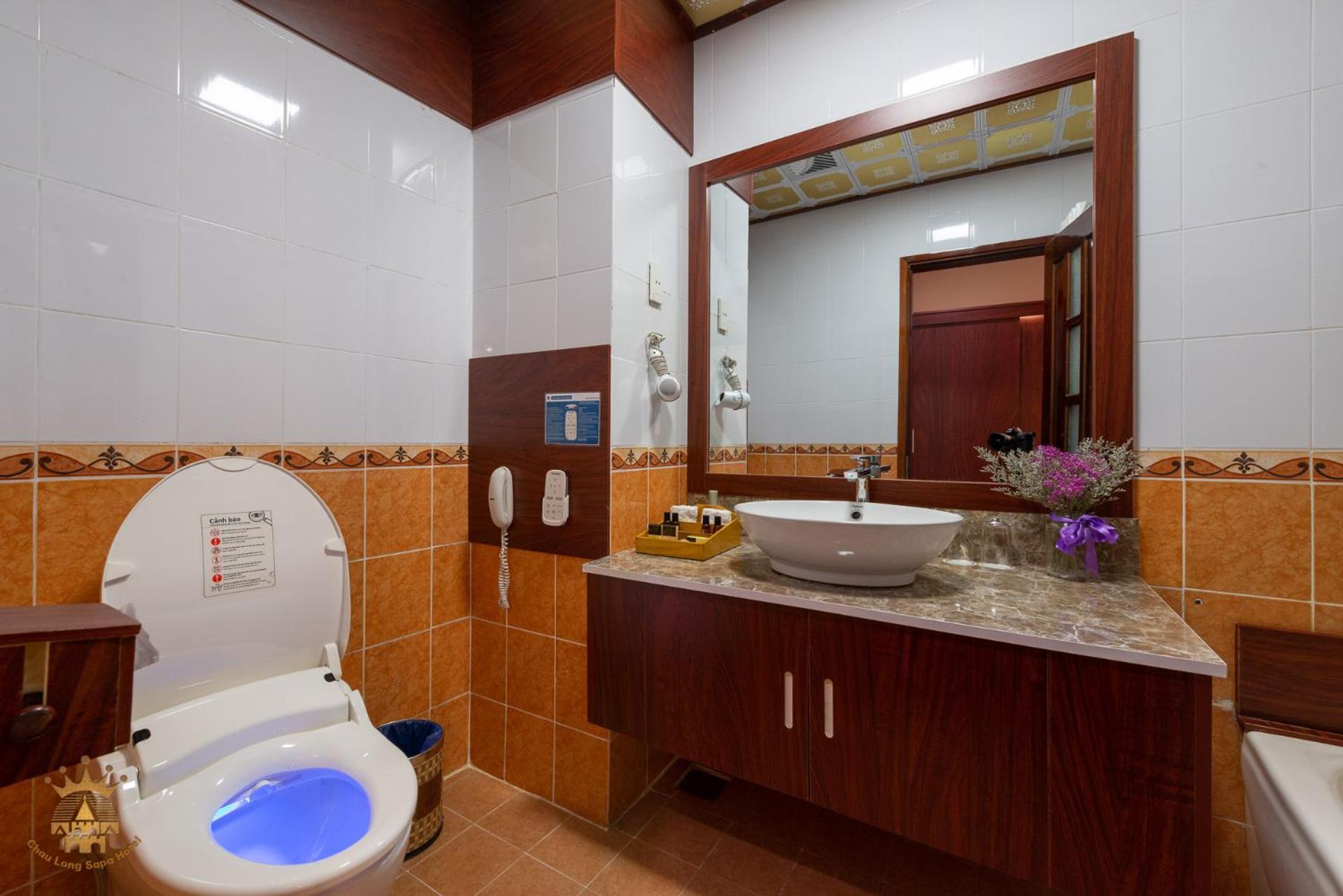 Superior Double or Twin Room photo 3
