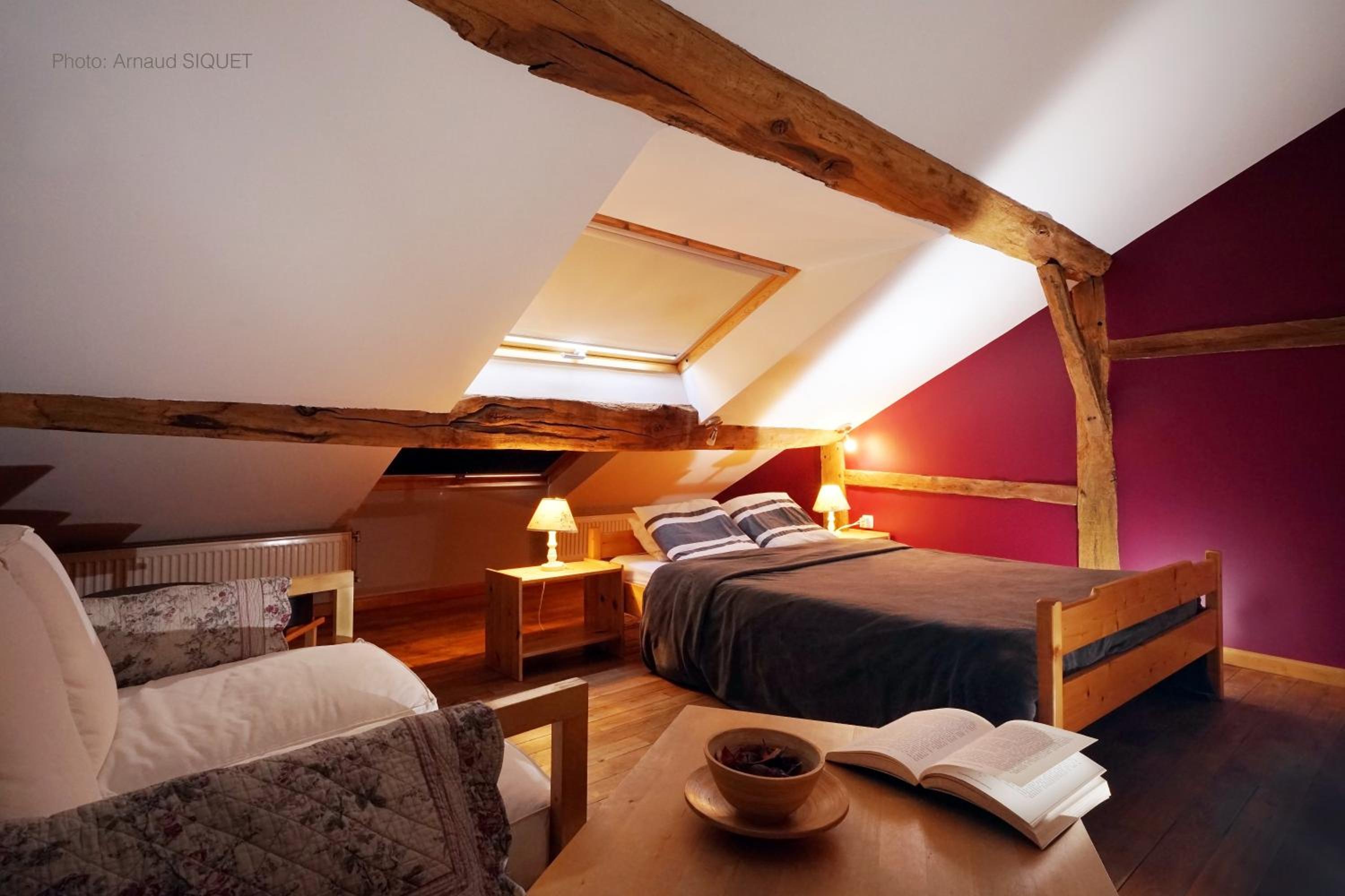 Family Suite photo 1