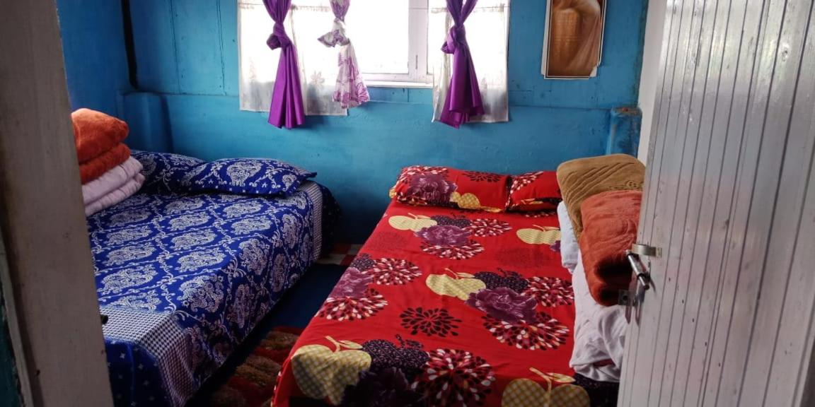 Deluxe Quadruple Room photo 1