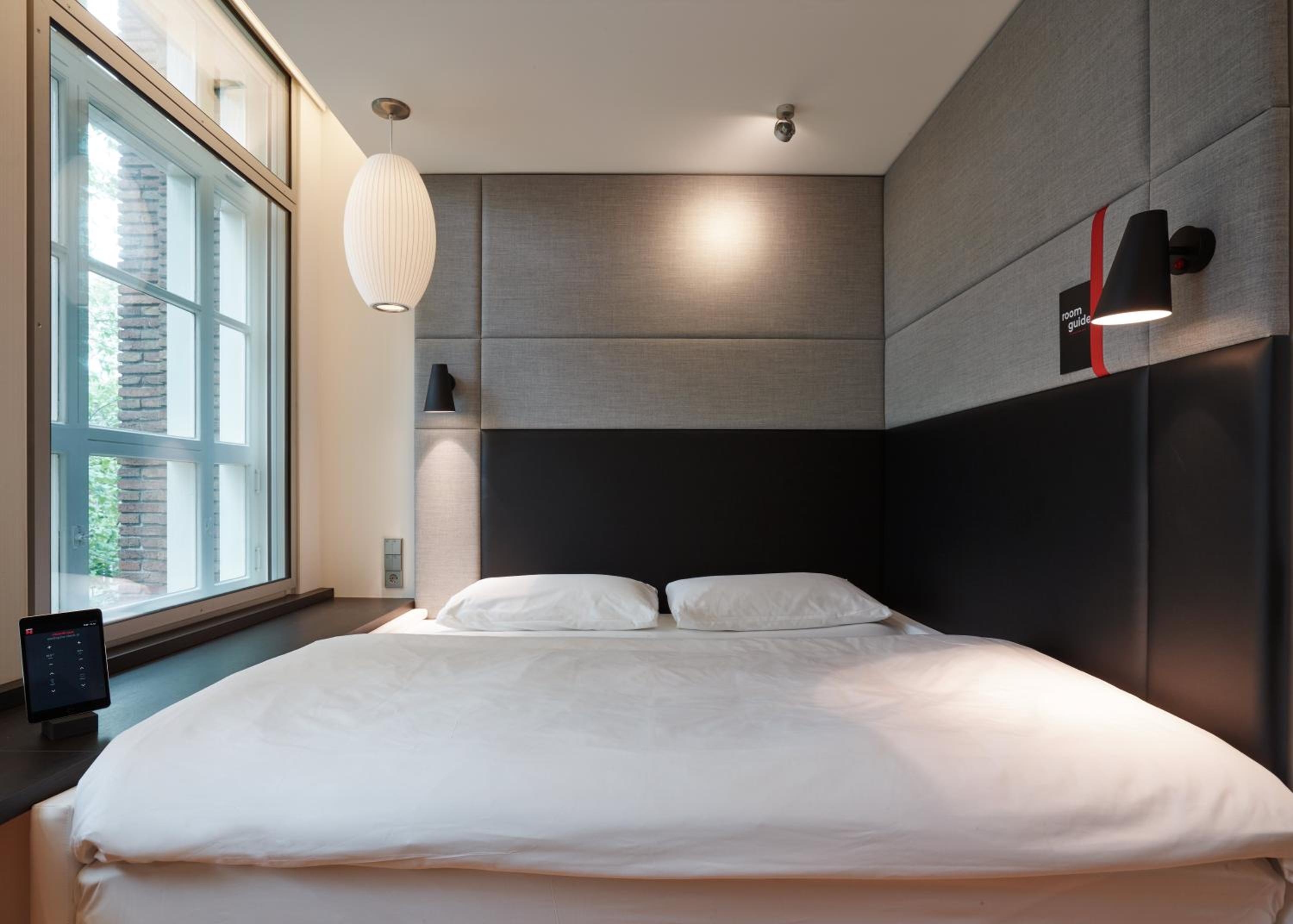 King Room photo 2