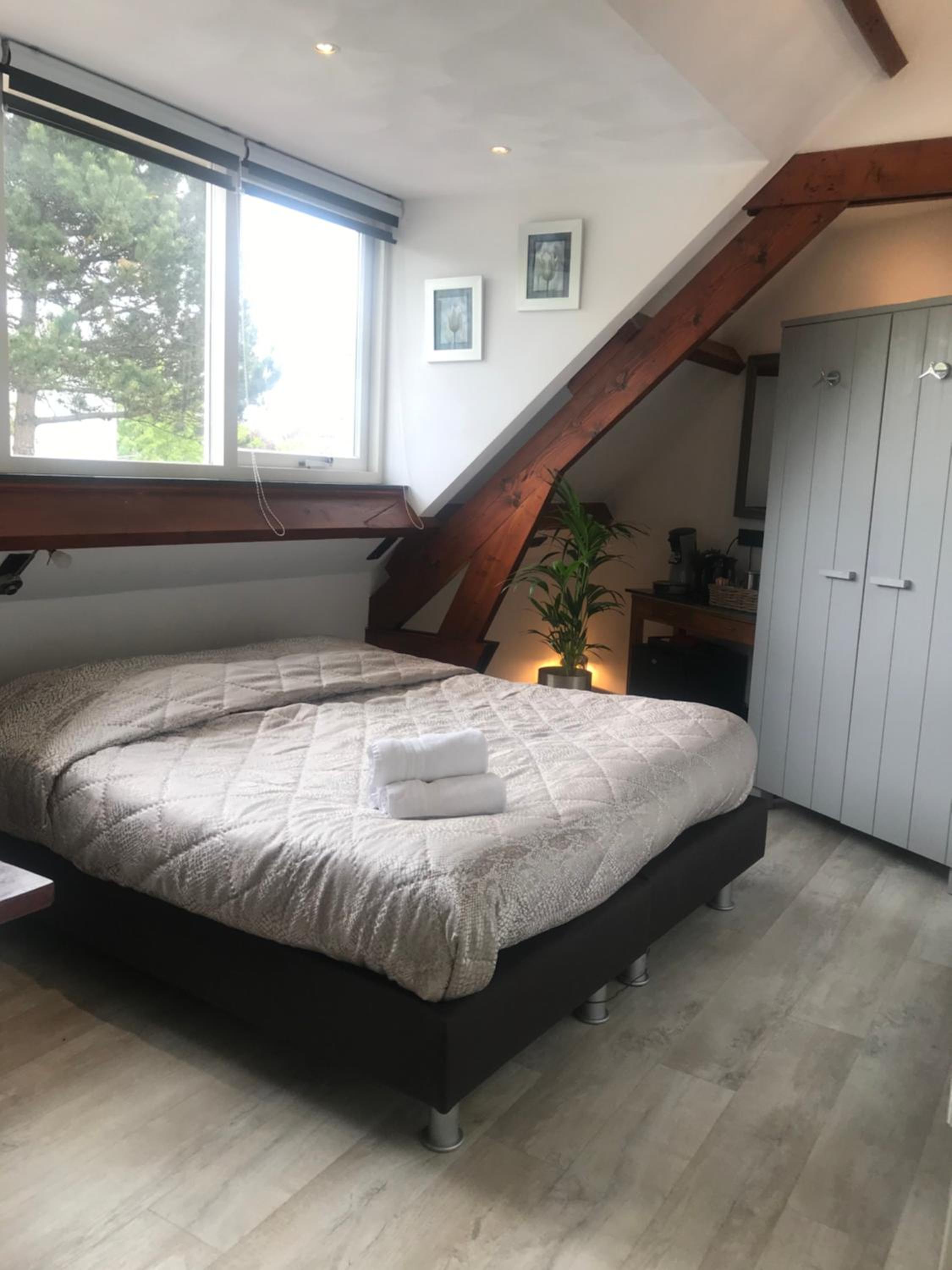 Deluxe Room photo 2