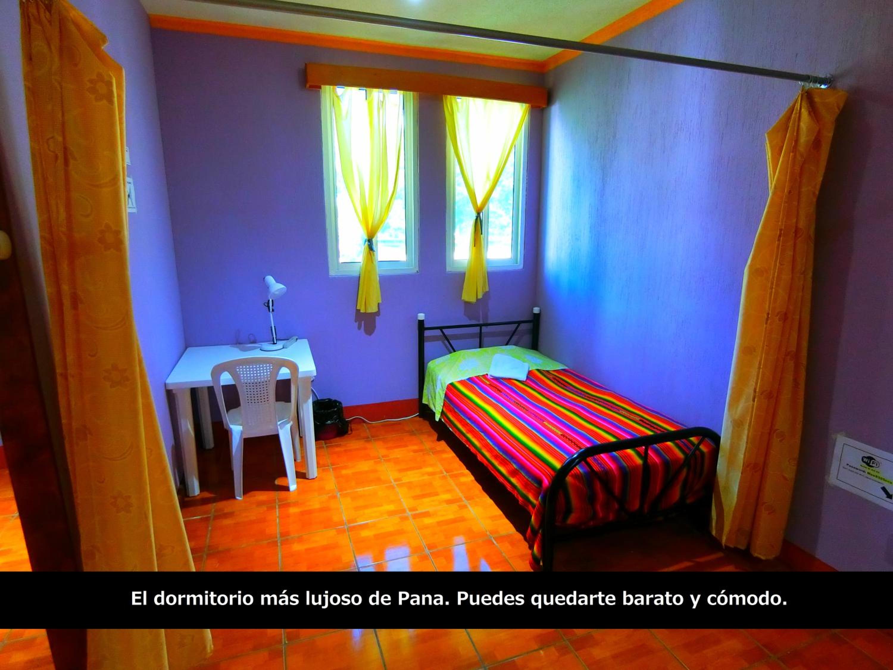 Single Bed in Mixed Dormitory Room