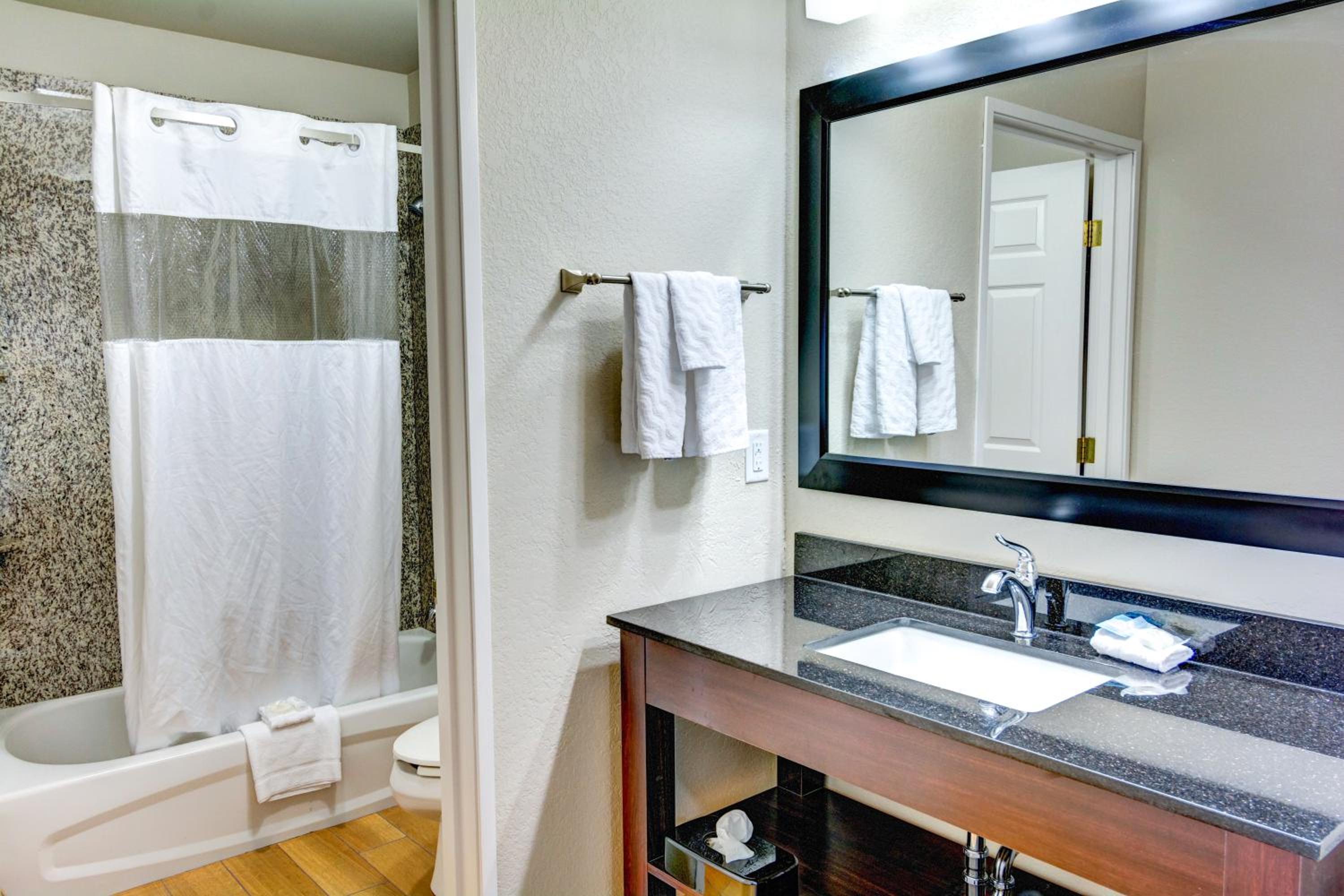 Deluxe King Suite with Jetted Tub - Non-Smoking - Photo 6