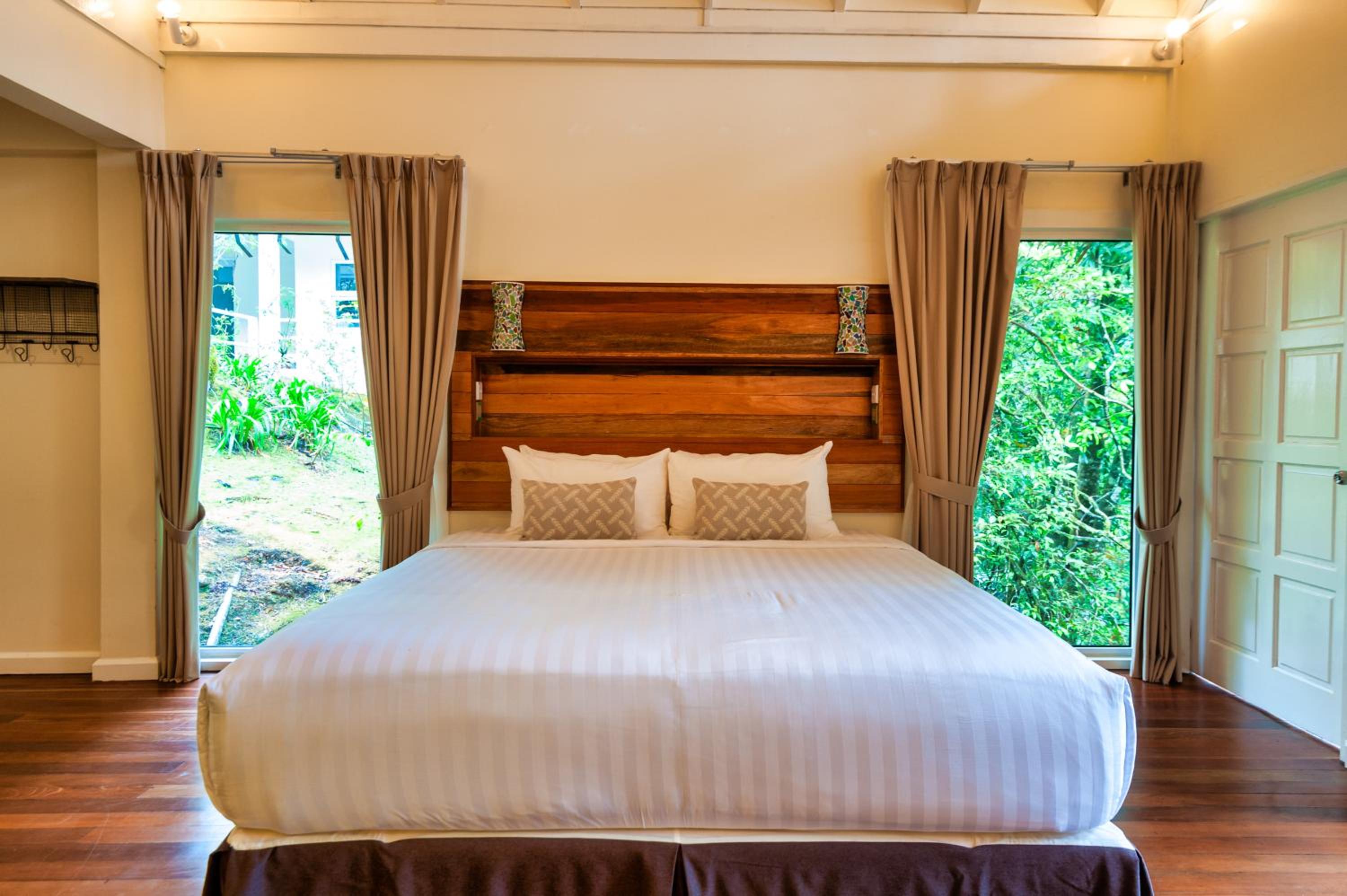 Nepenthes Suite King - Photo 5