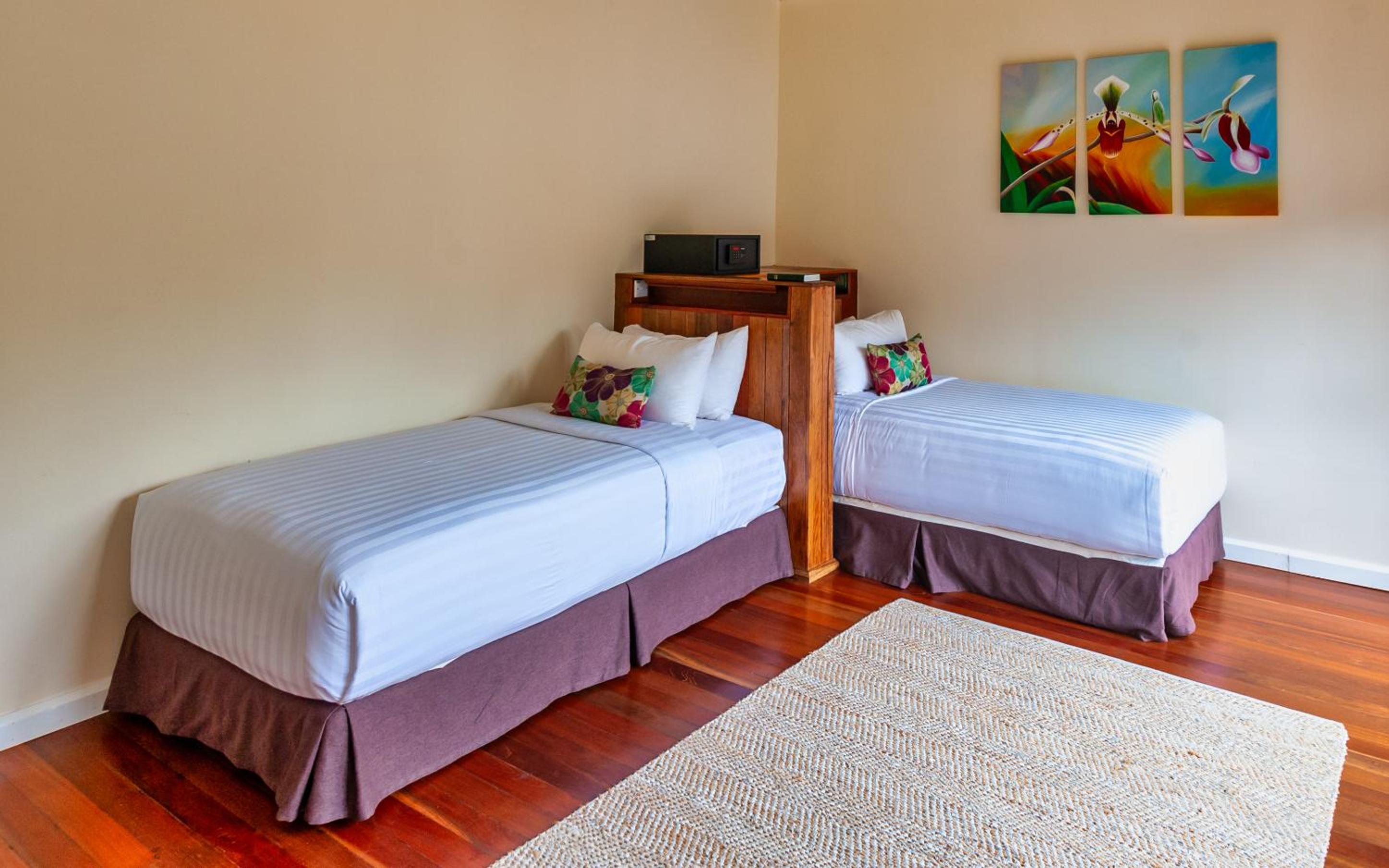 Nepenthes Suite Twin - Photo 3