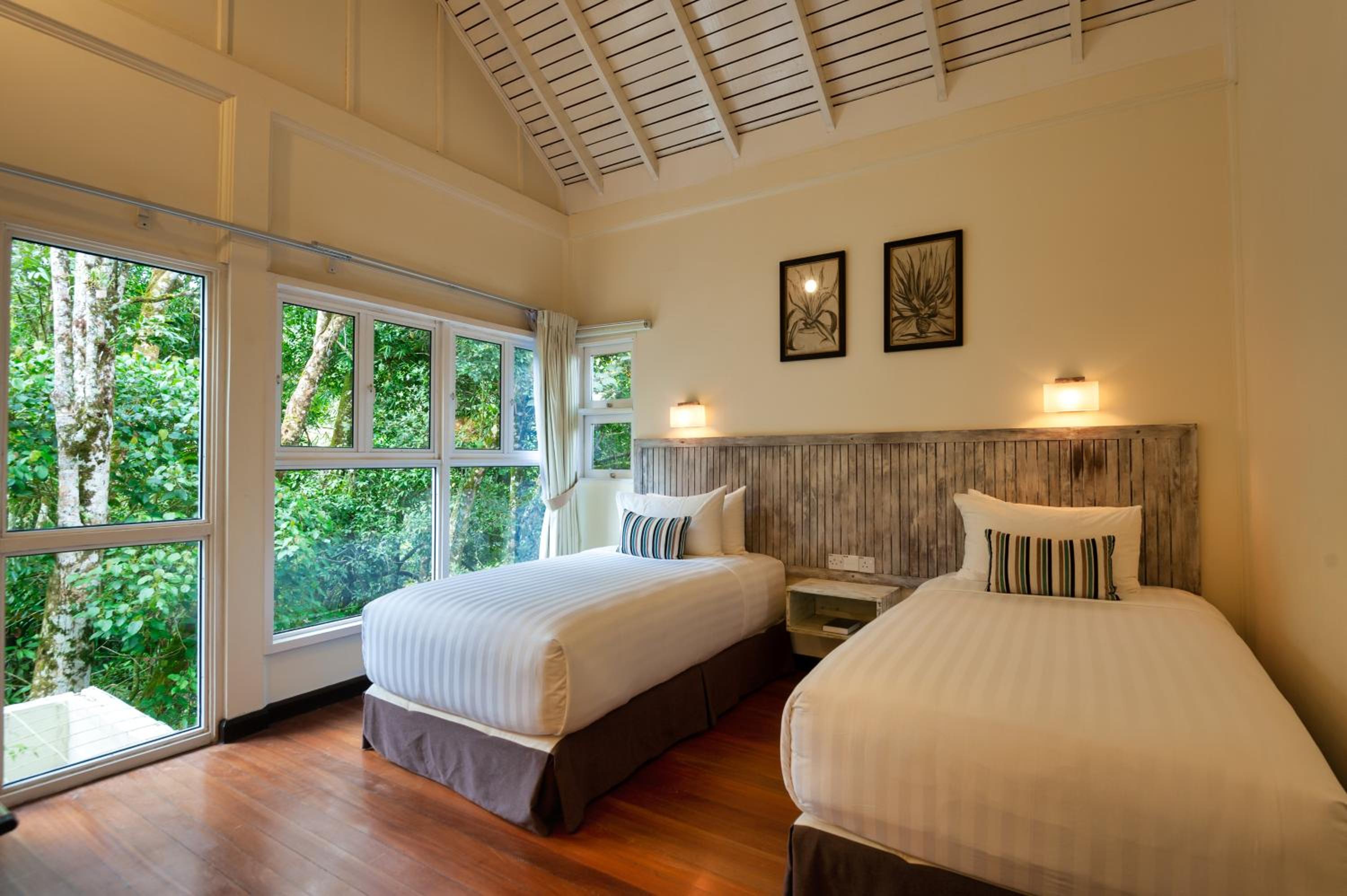 Nepenthes Villa - Photo 9