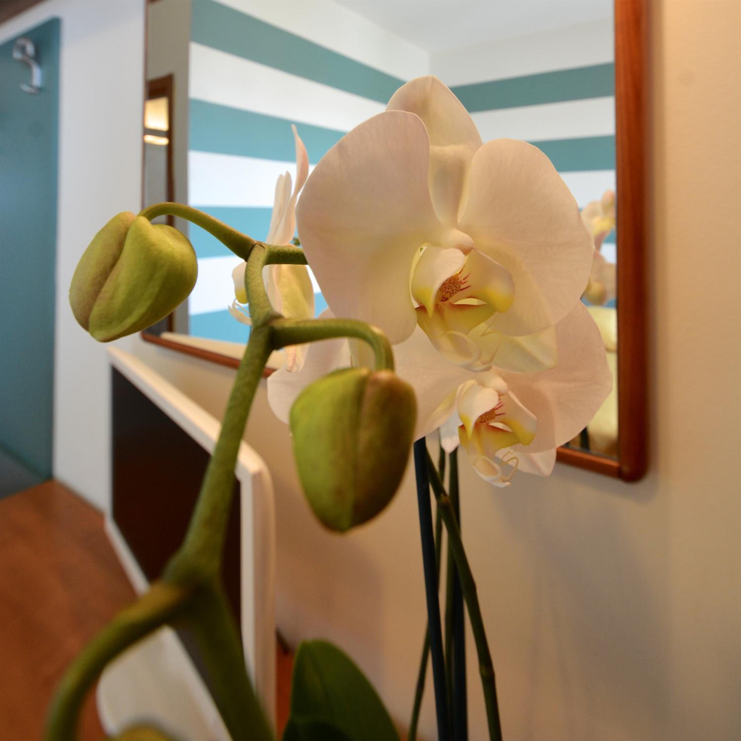 Triple Room - Photo 2