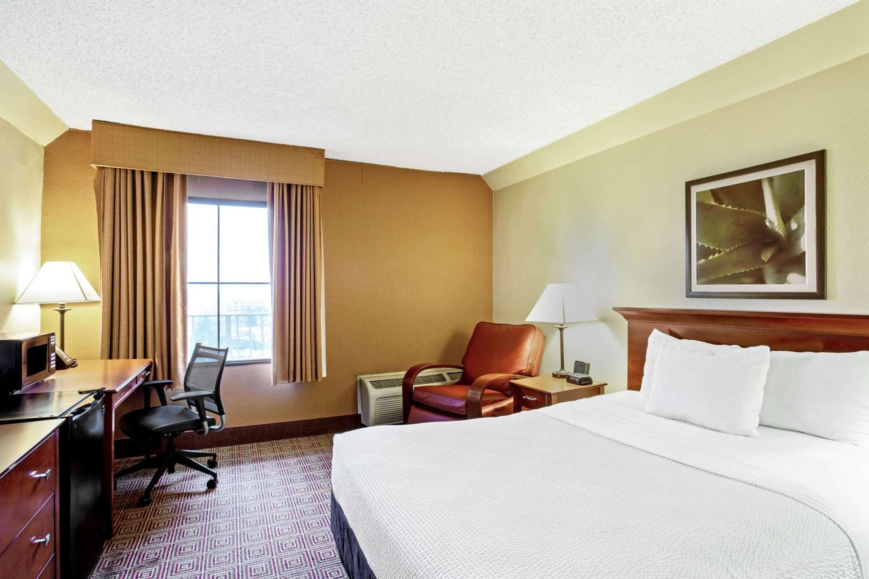 Queen Suite photo 1