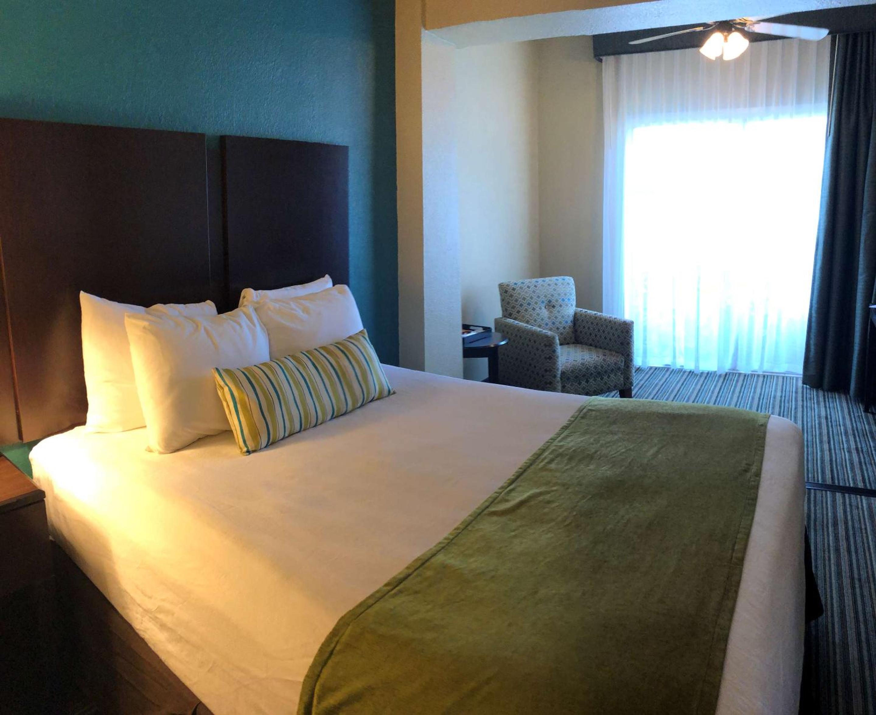 One Bedroom Bay View Suite King with Balcony