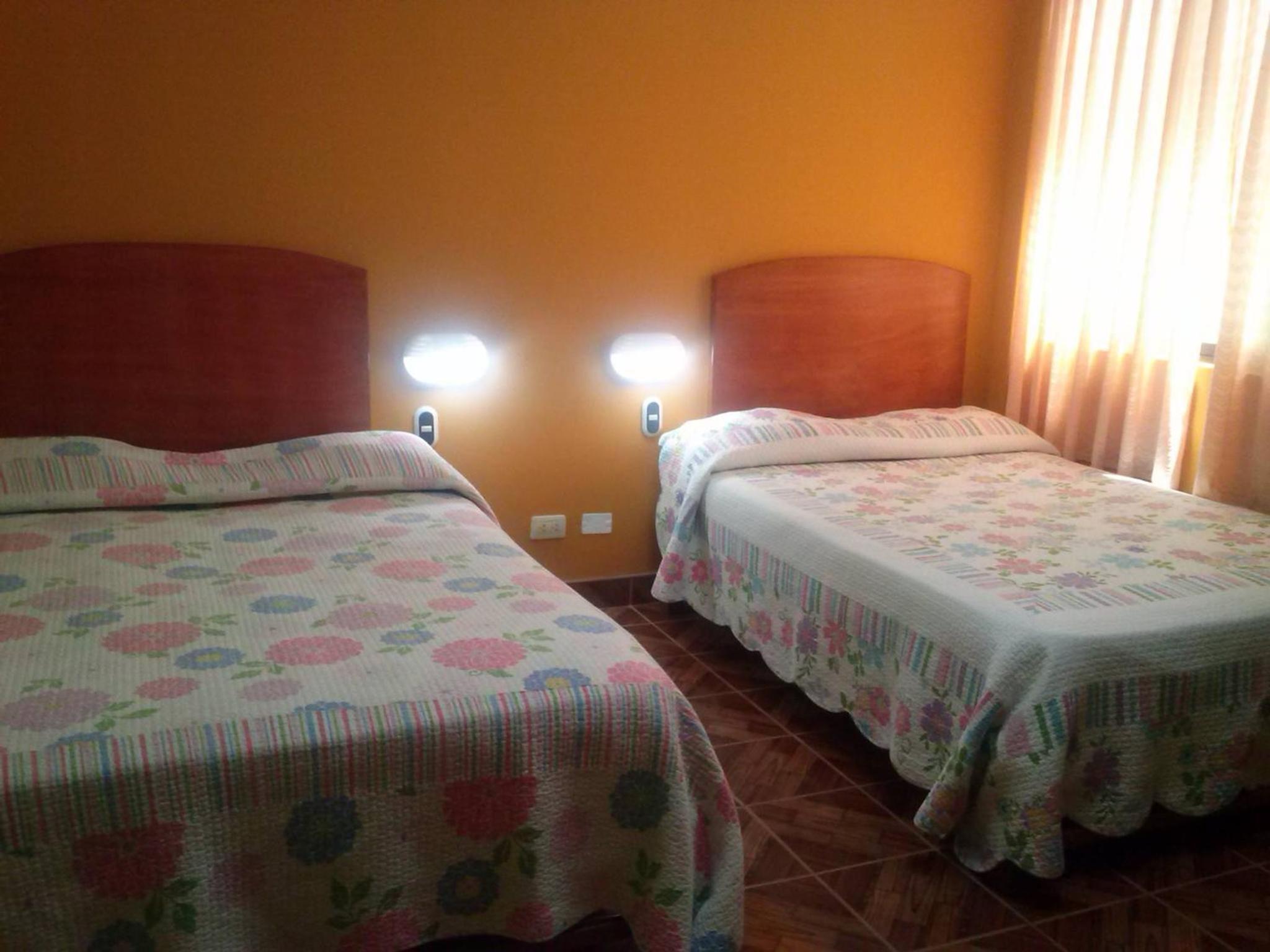 Twin Room photo 2