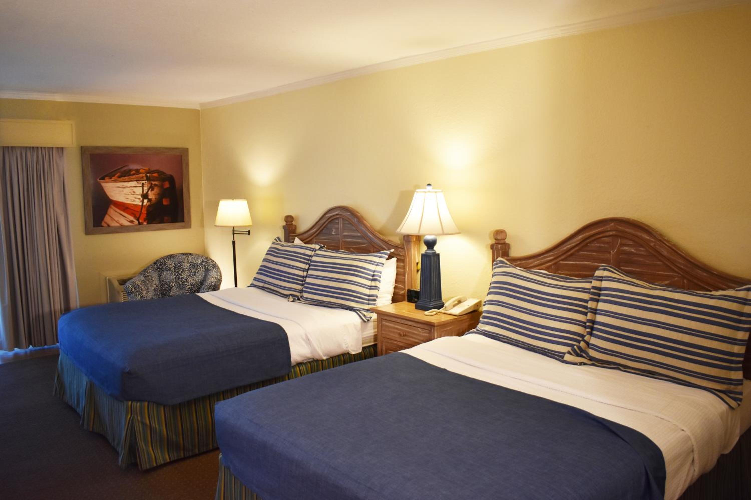 Double Room - Disability Access photo 1